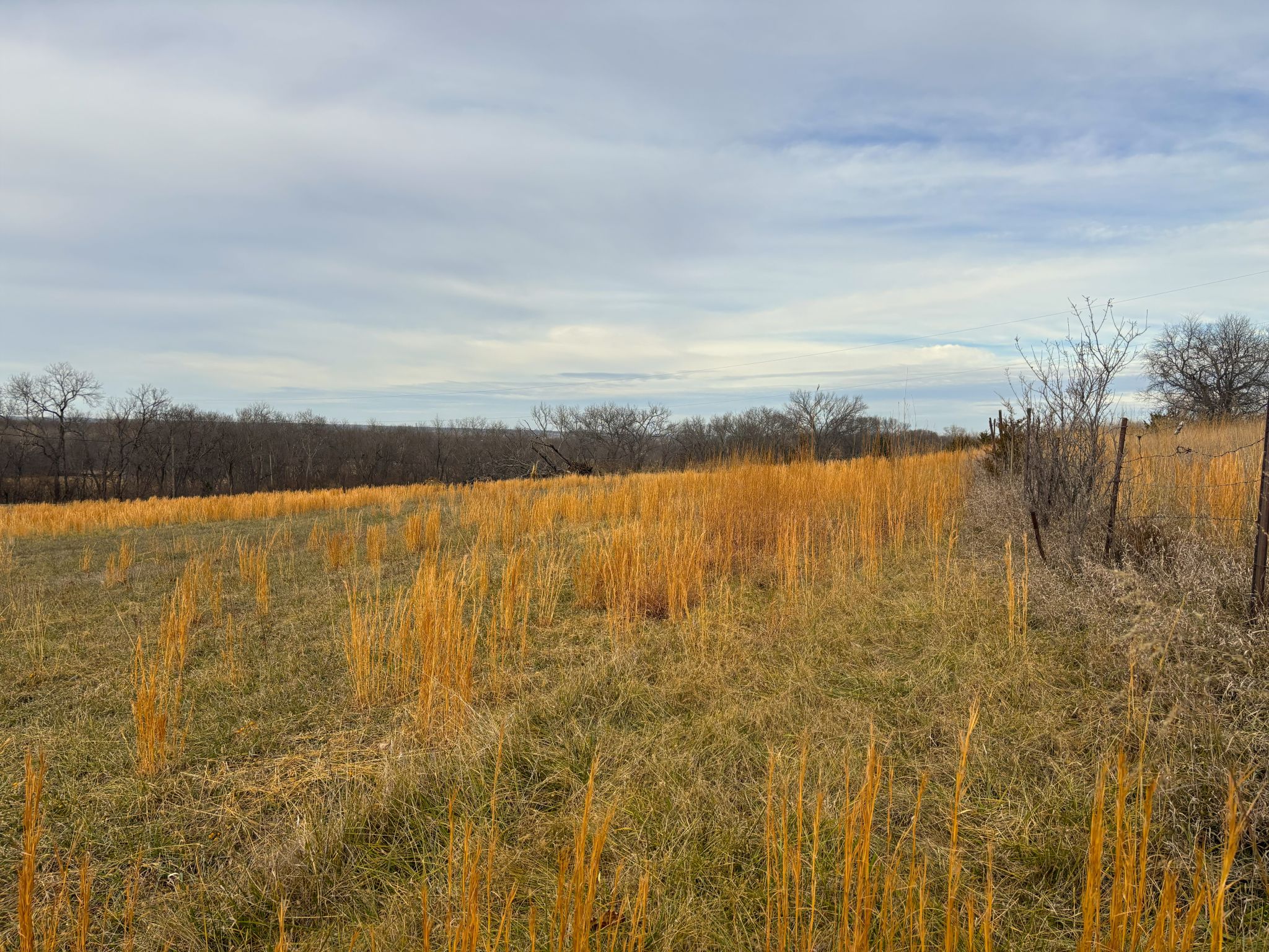 Tract 6 20251211_174215902_iOS