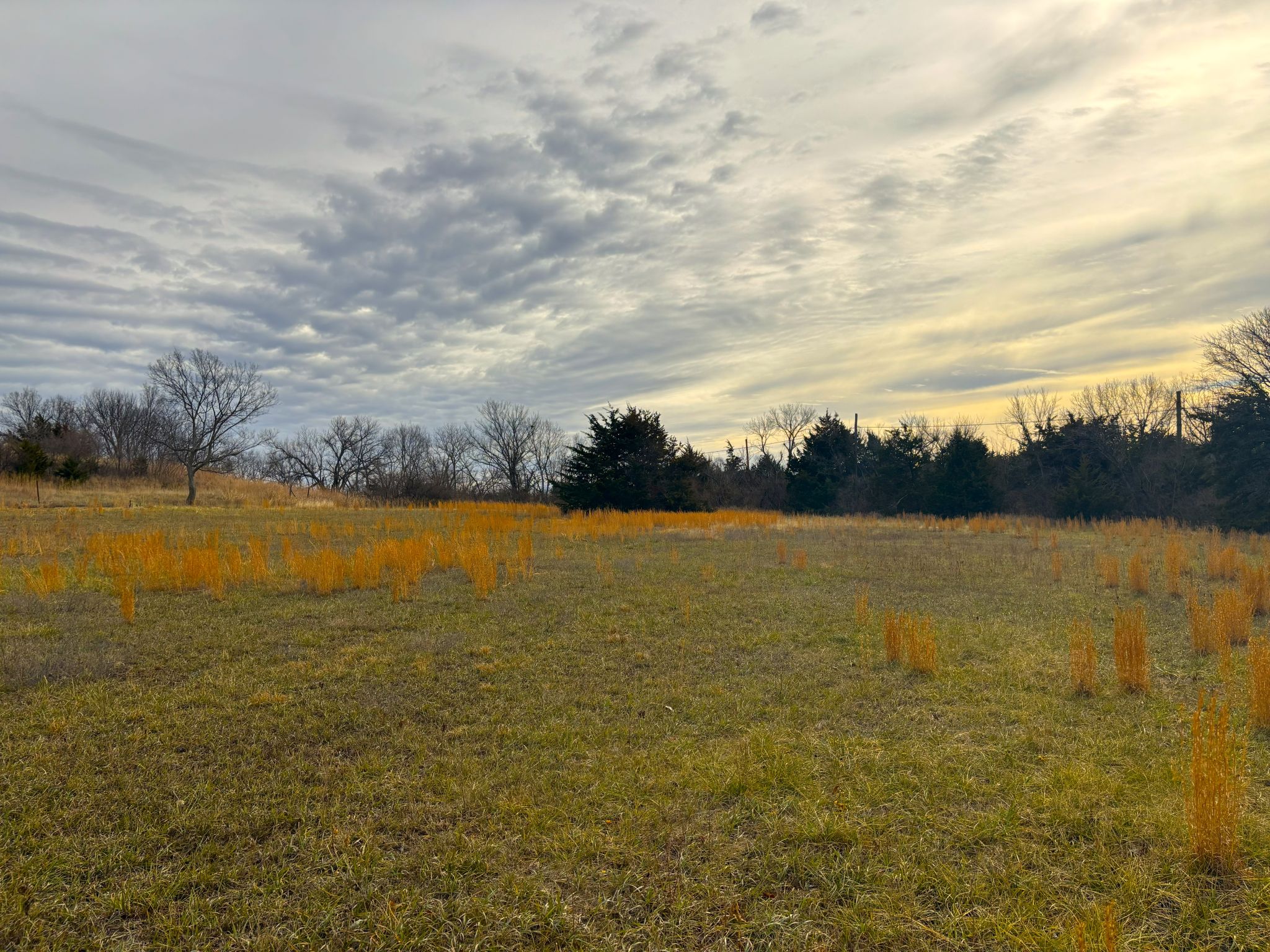 Tract 6 20251211_174312349_iOS