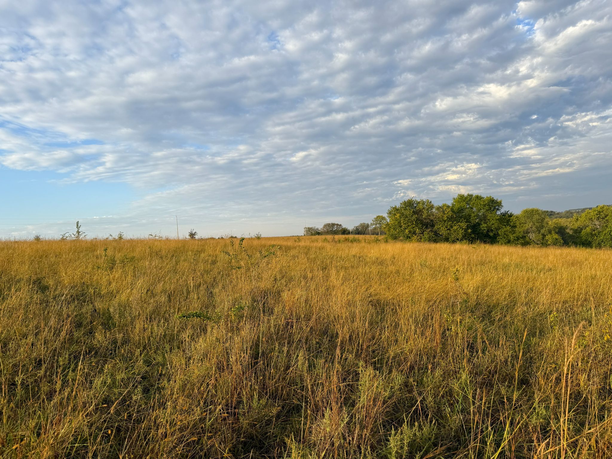 Tract 7 20251015_133717898_iOS