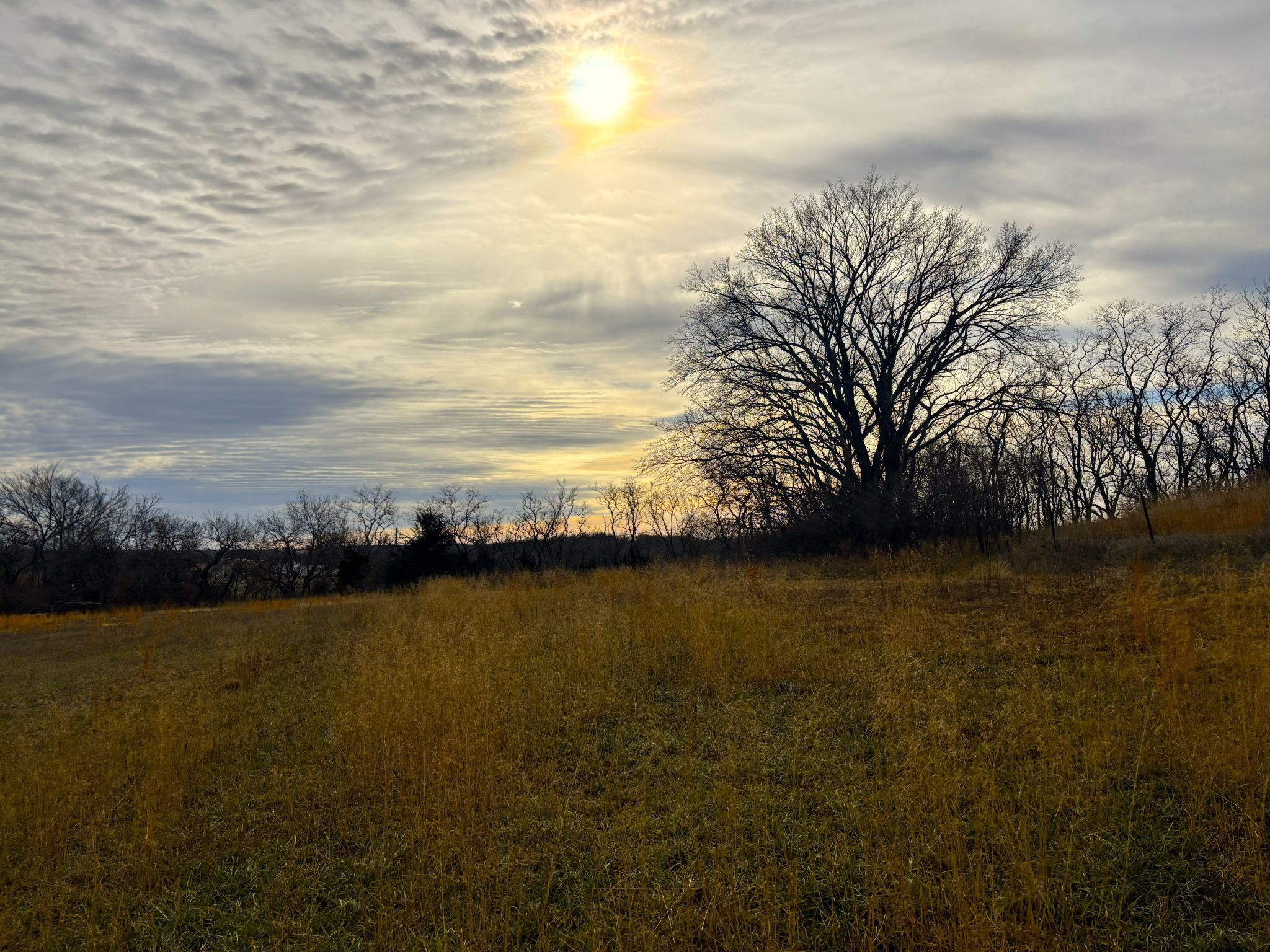 Tract 8 20251211_172535448_iOS