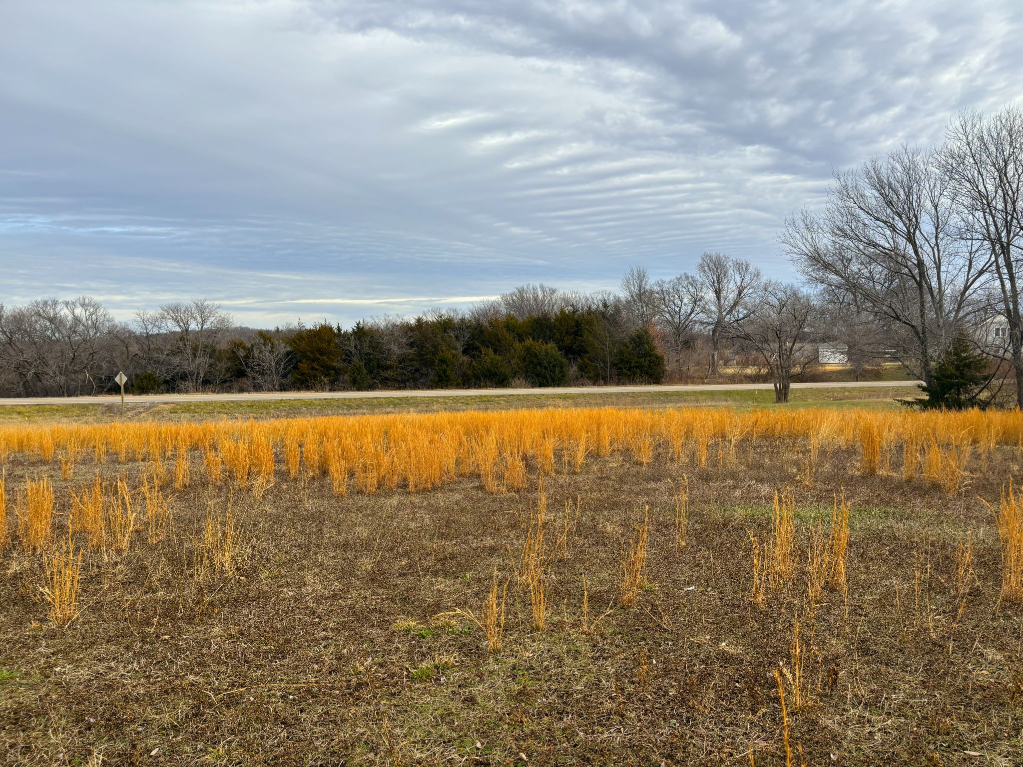 Tract 8 20251211_172707181_iOS