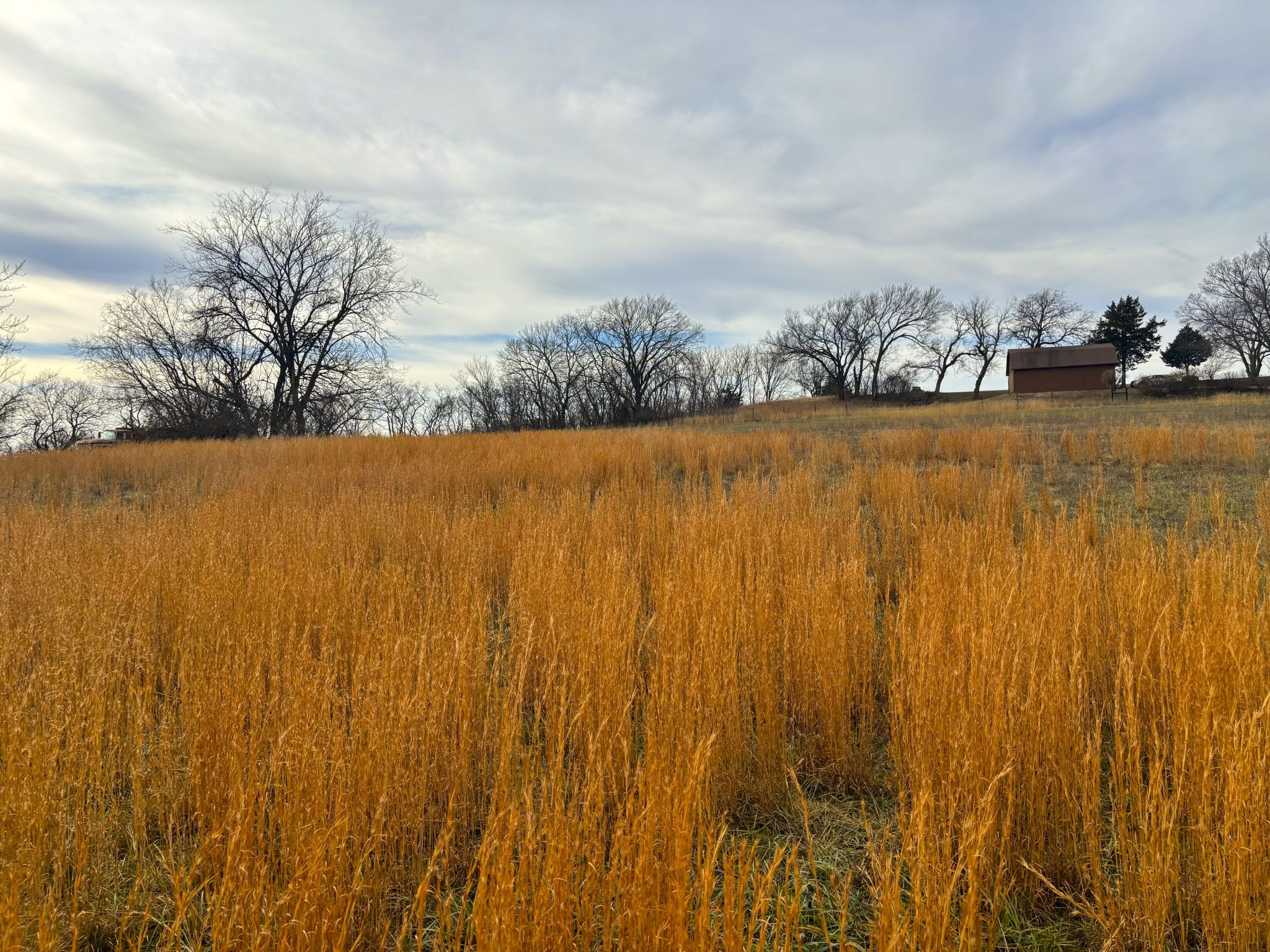 Tract 8 20251211_172751591_iOS