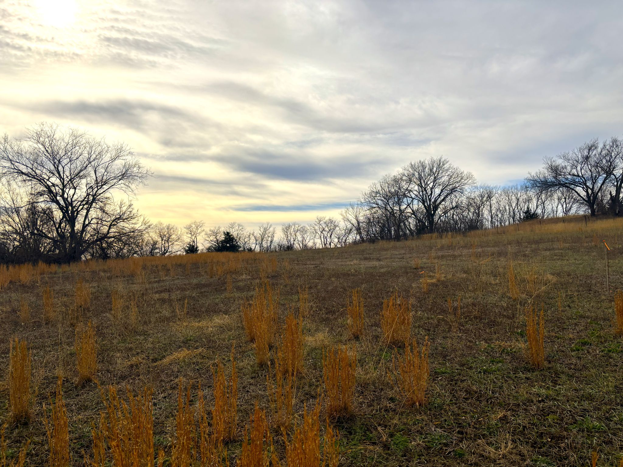 Tract 8 20251211_172842861_iOS