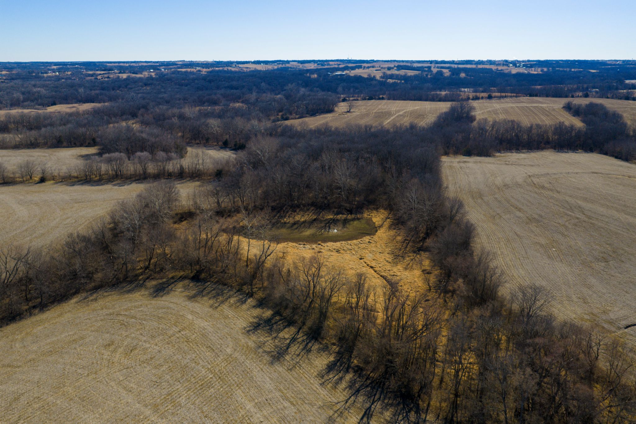JC Farms_ Jan 21 2026_ Aerial Stills POST_3