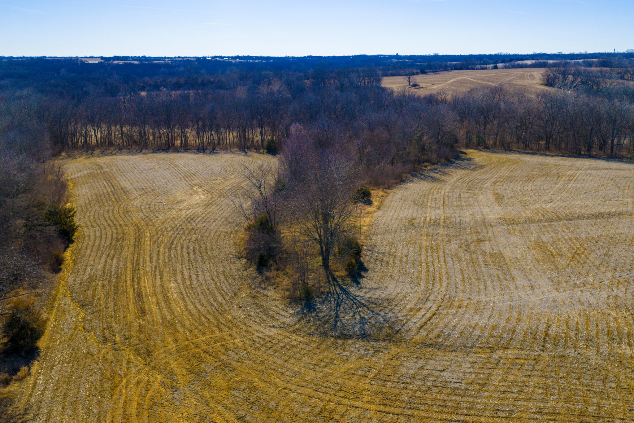 JC Farms_ Jan 21 2026_ Aerial Stills POST_50