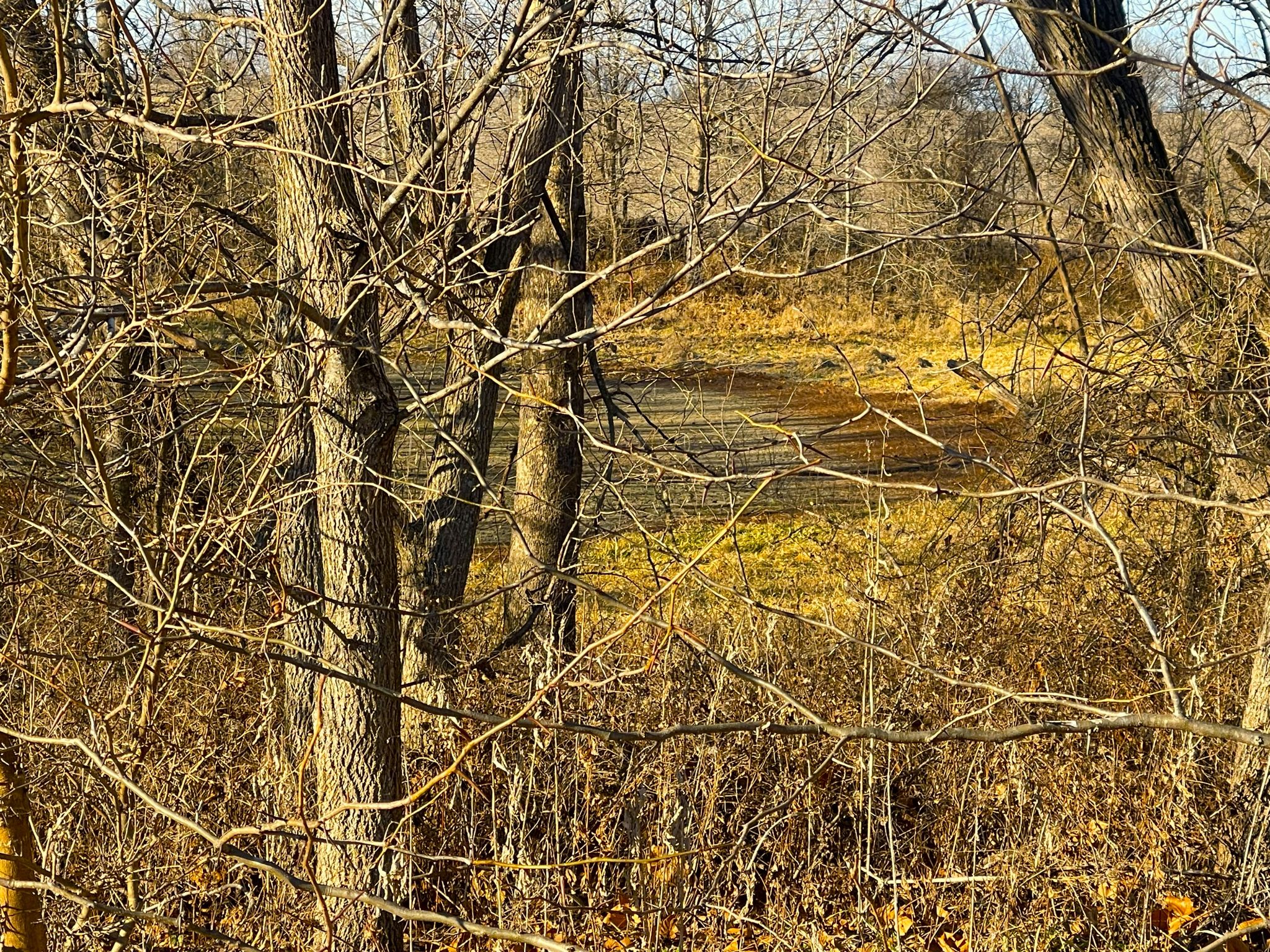 JCFarms 20251219_155559524_iOS