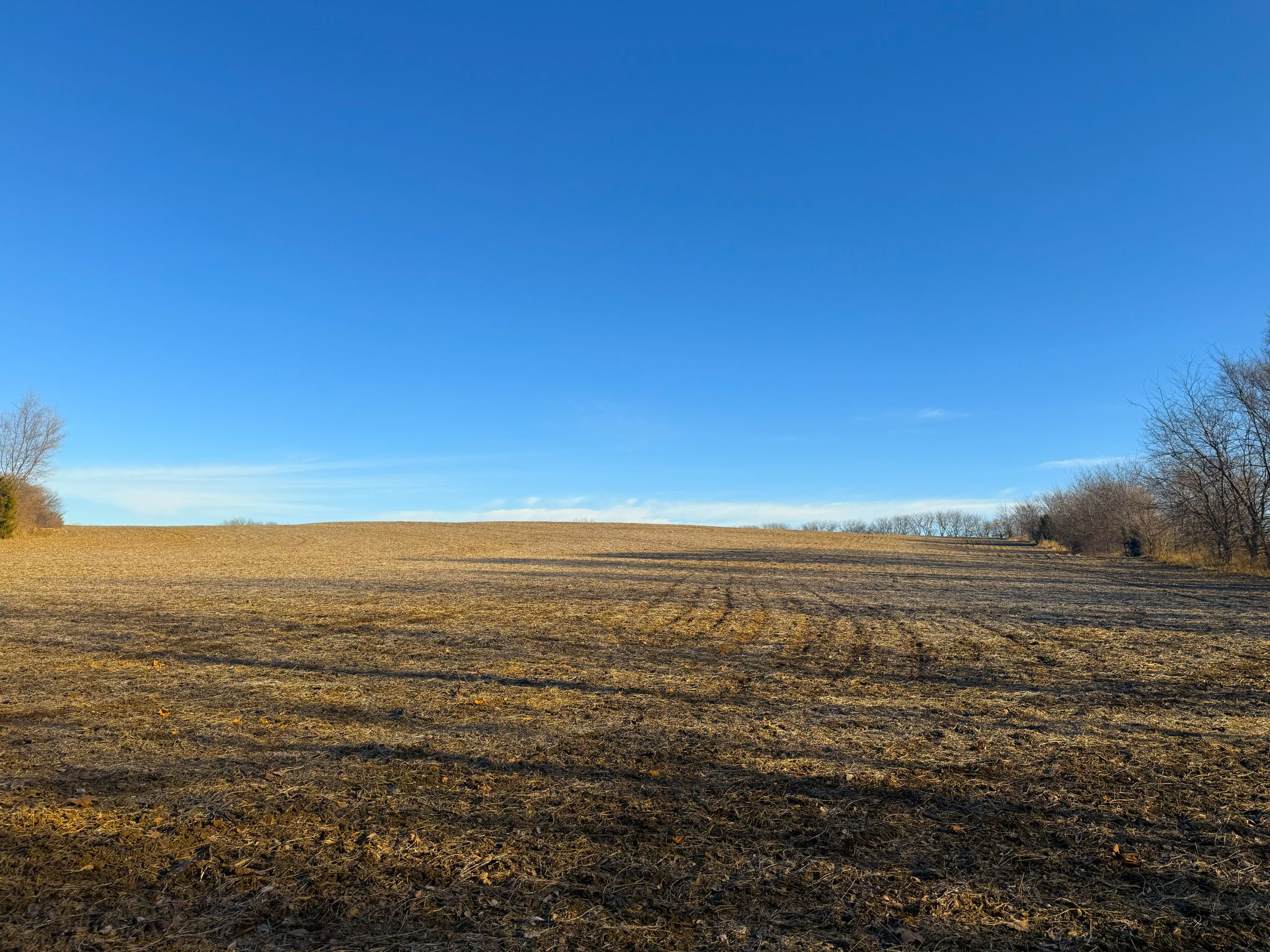 JCFarms 20251219_155718749_iOS