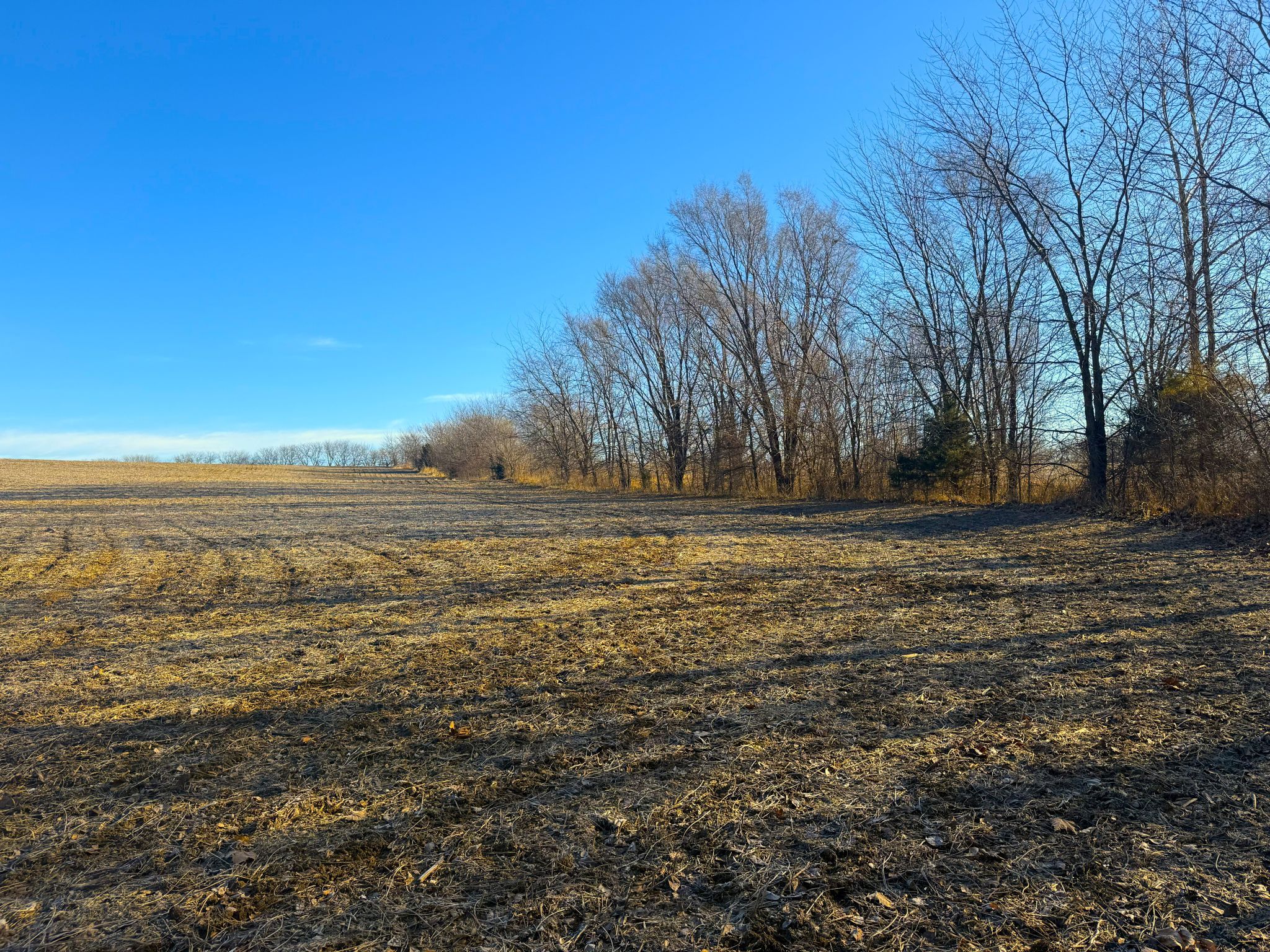 JCFarms 20251219_155724623_iOS