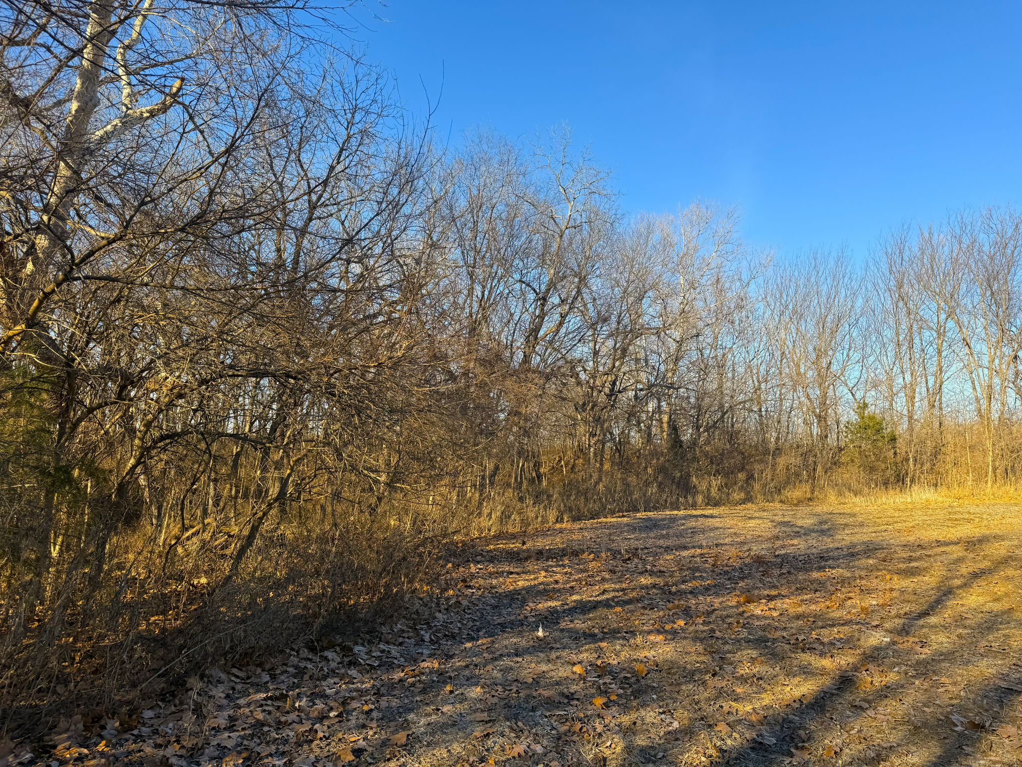 JCFarms 20251219_155737790_iOS