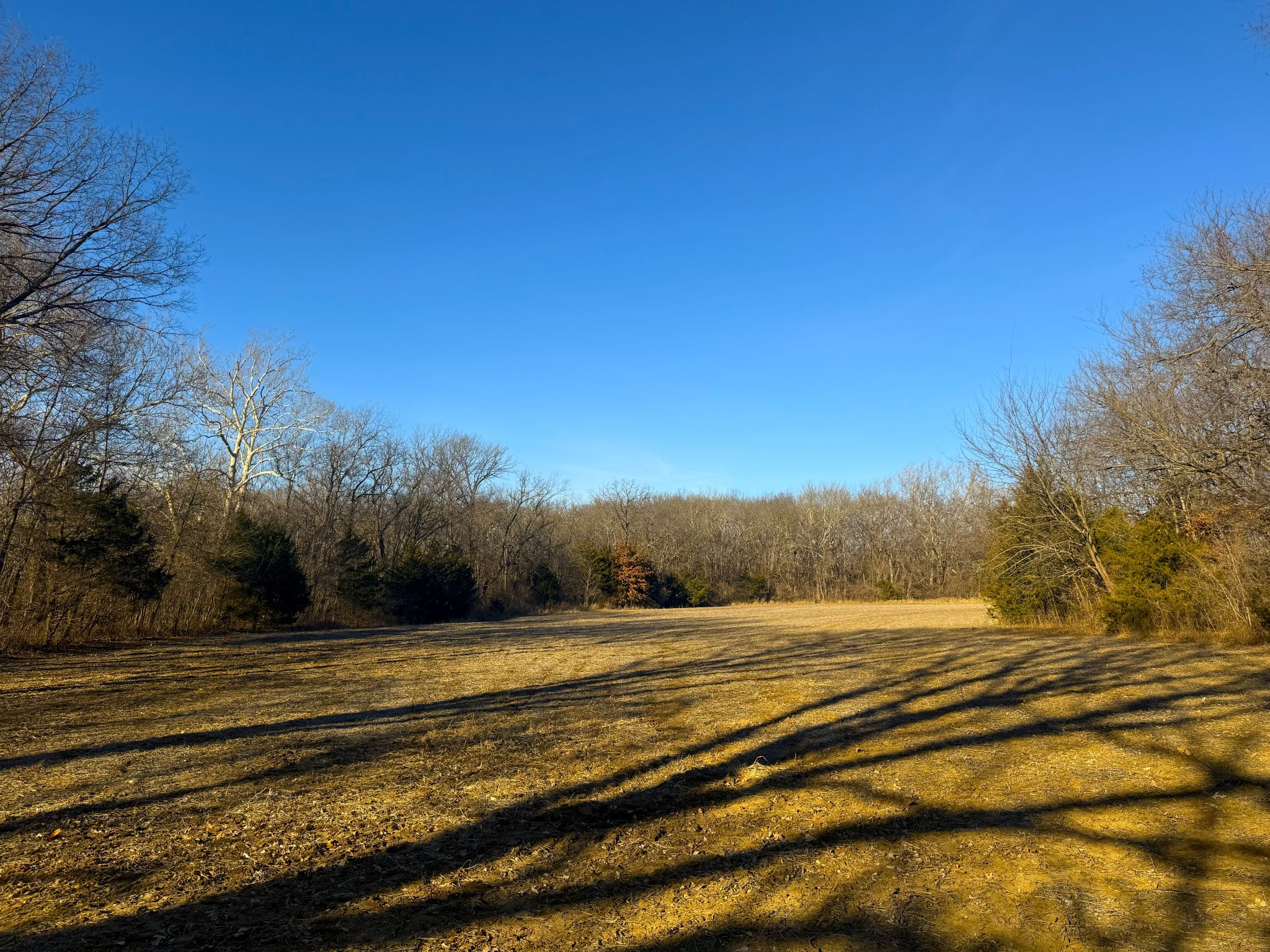 JCFarms 20251219_160219171_iOS