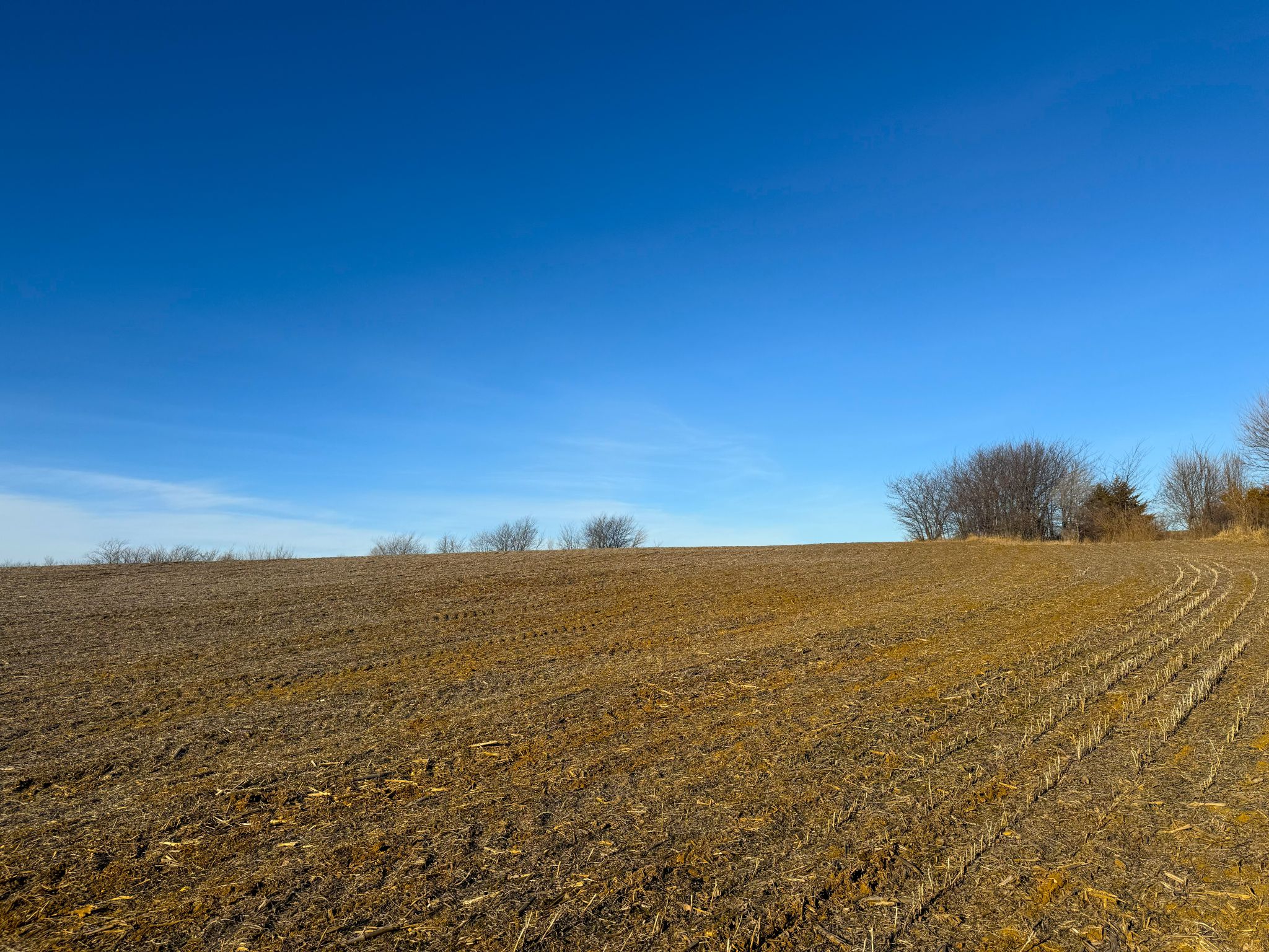 JCFarms 20251219_160631561_iOS