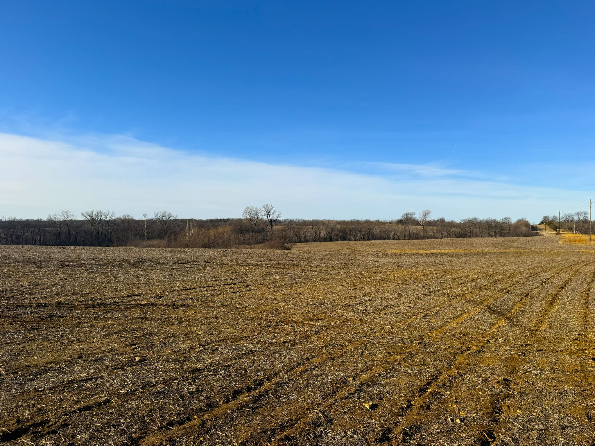 JCFarms 20251219_160910539_iOS