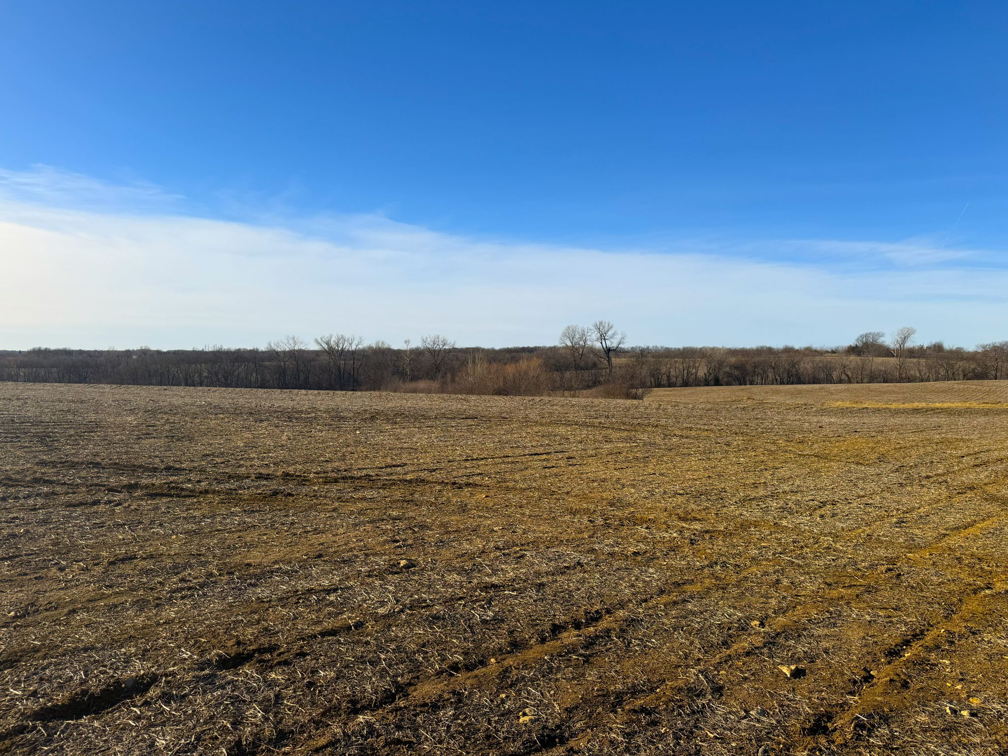 JCFarms 20251219_160913133_iOS