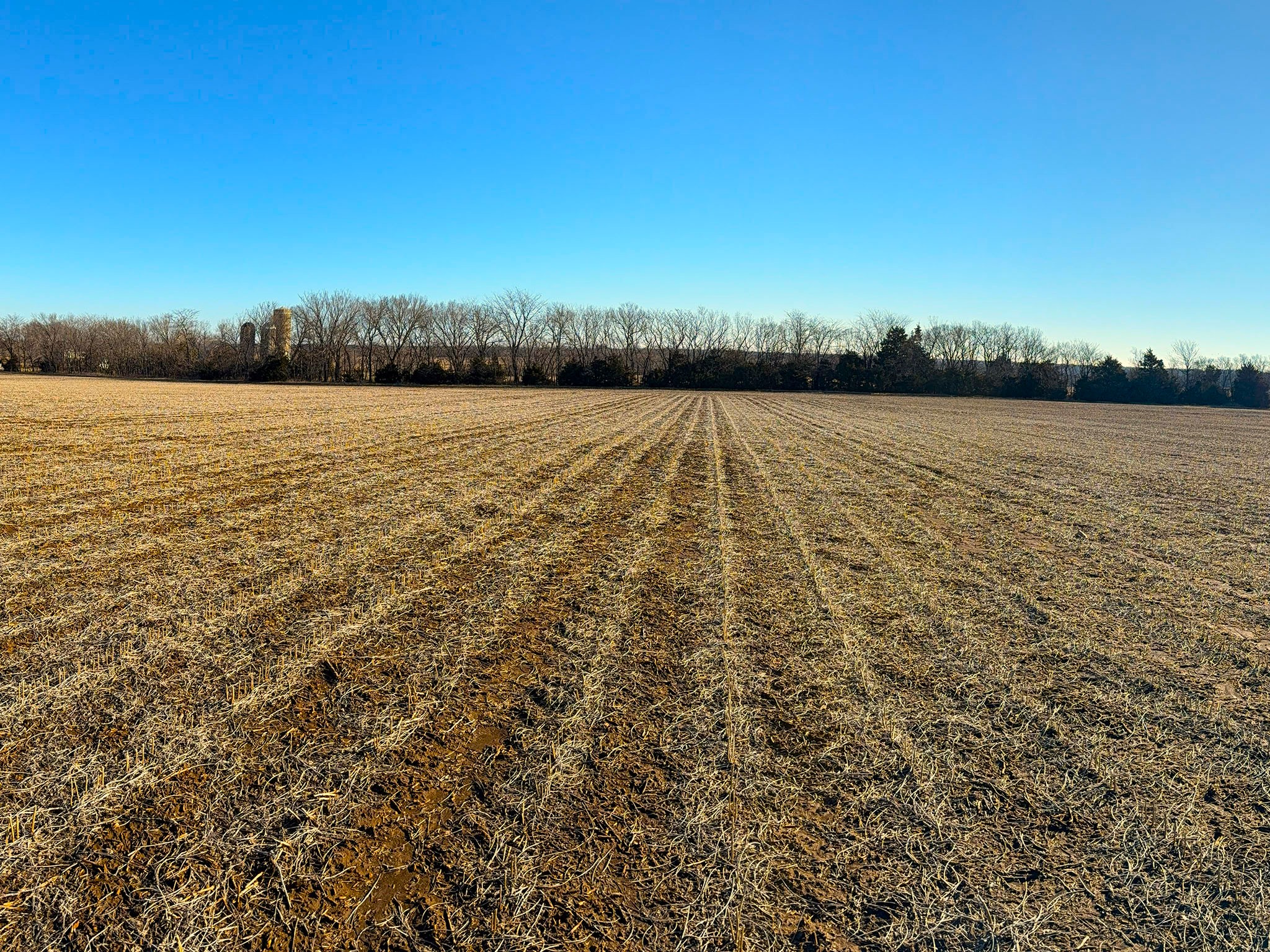 Prairie Crest Vista 0598