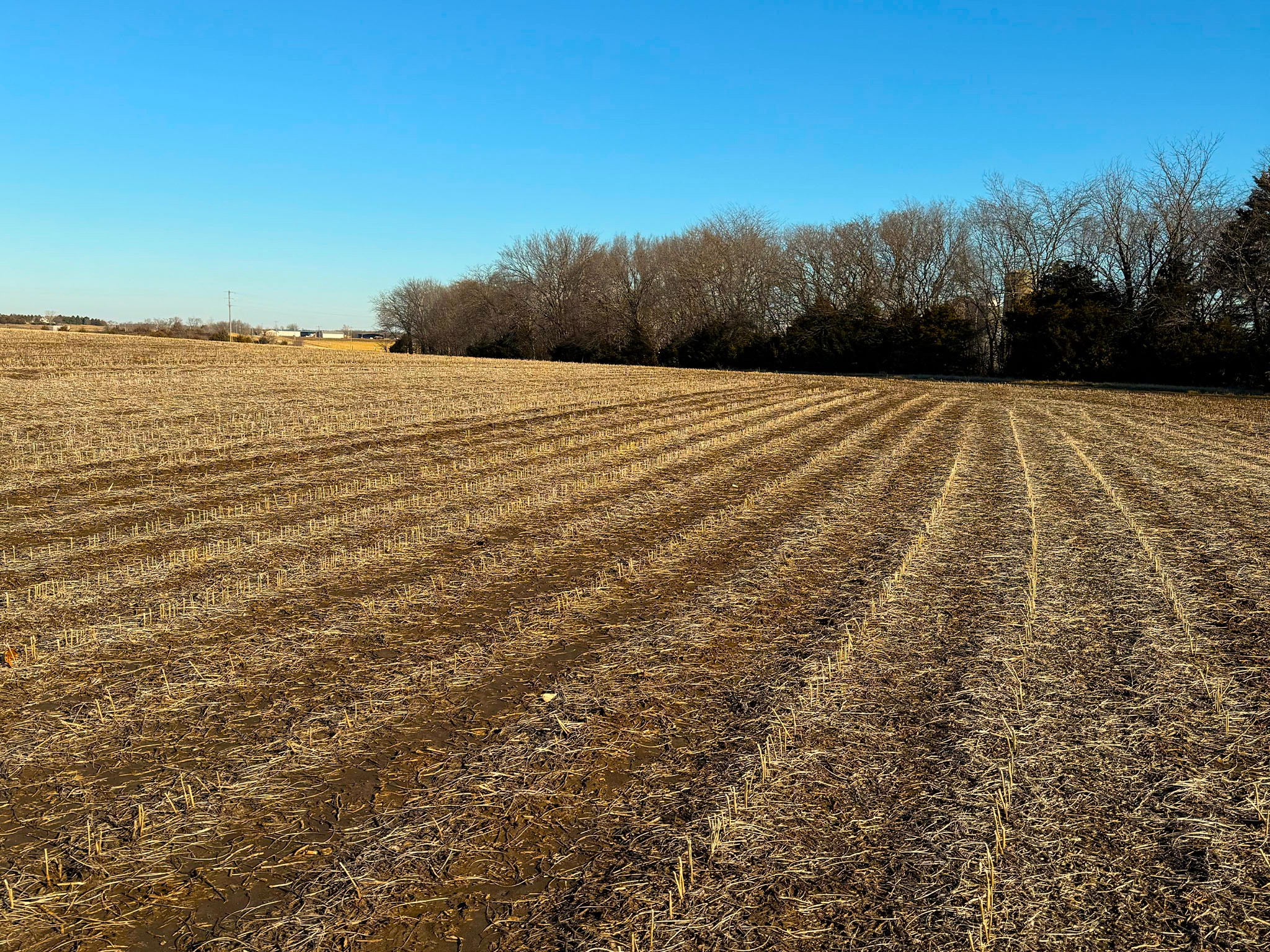 Prairie Crest Vista 1004