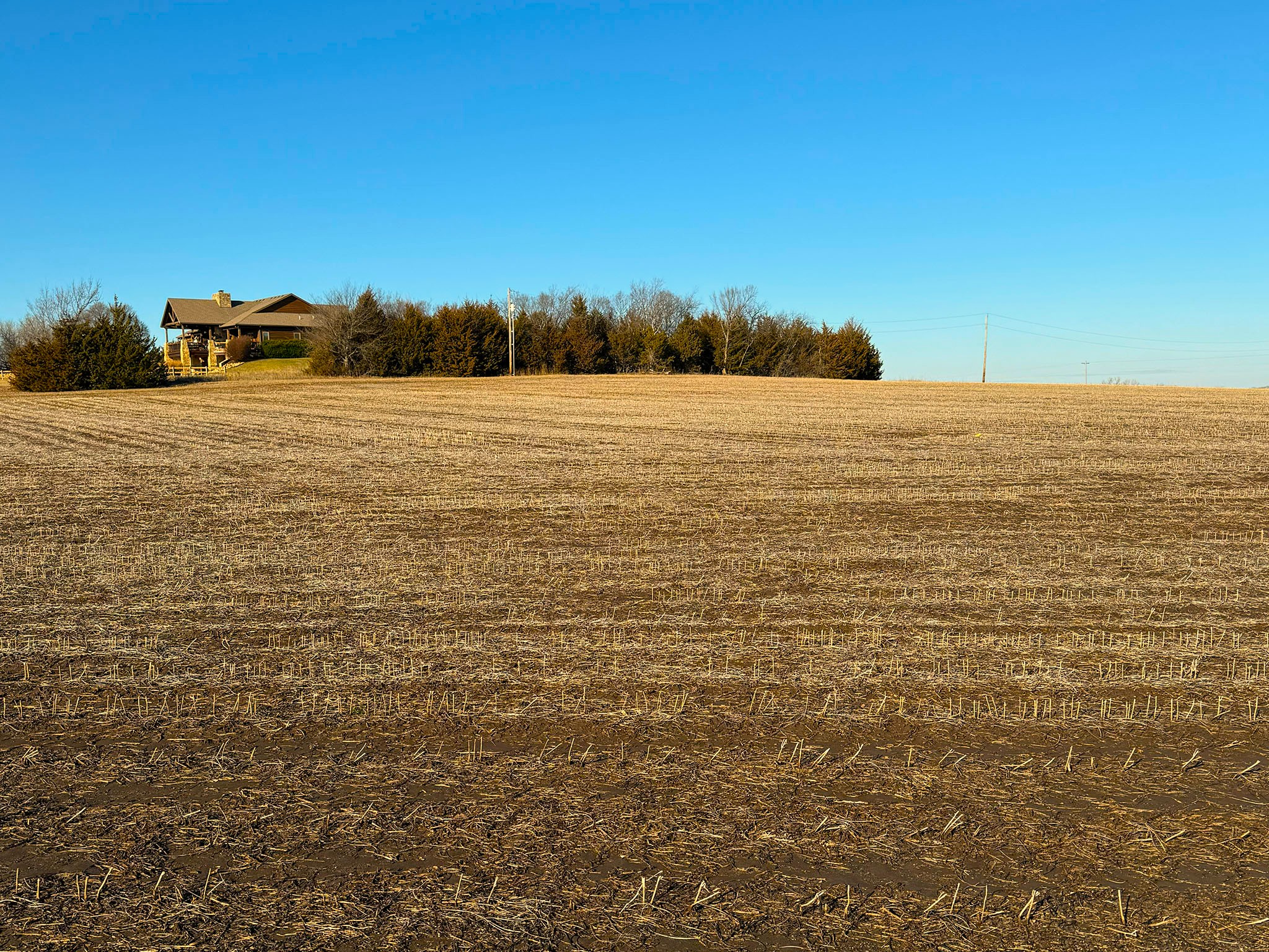 Prairie Crest Vista 1187