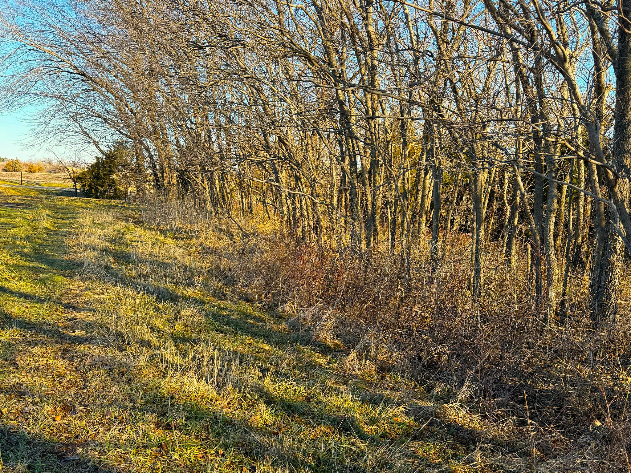 Prairie Crest Vista 1314