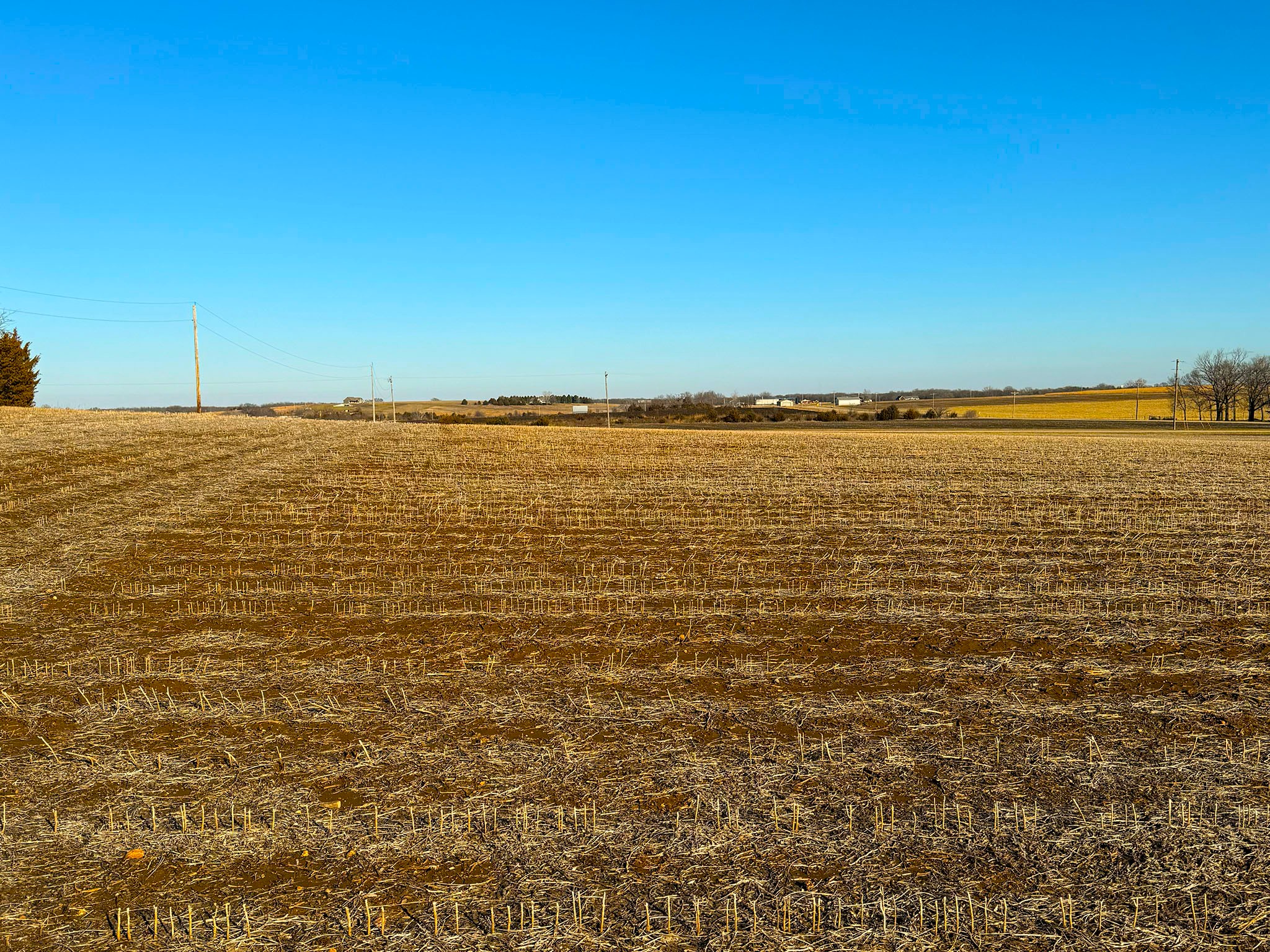 Prairie Crest Vista 1831