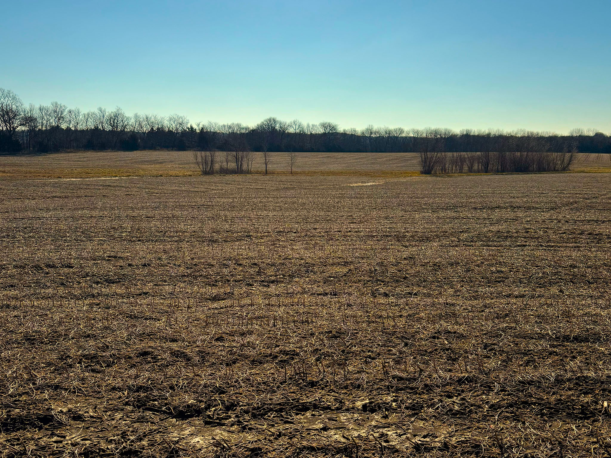 Prairie Crest Vista 6214