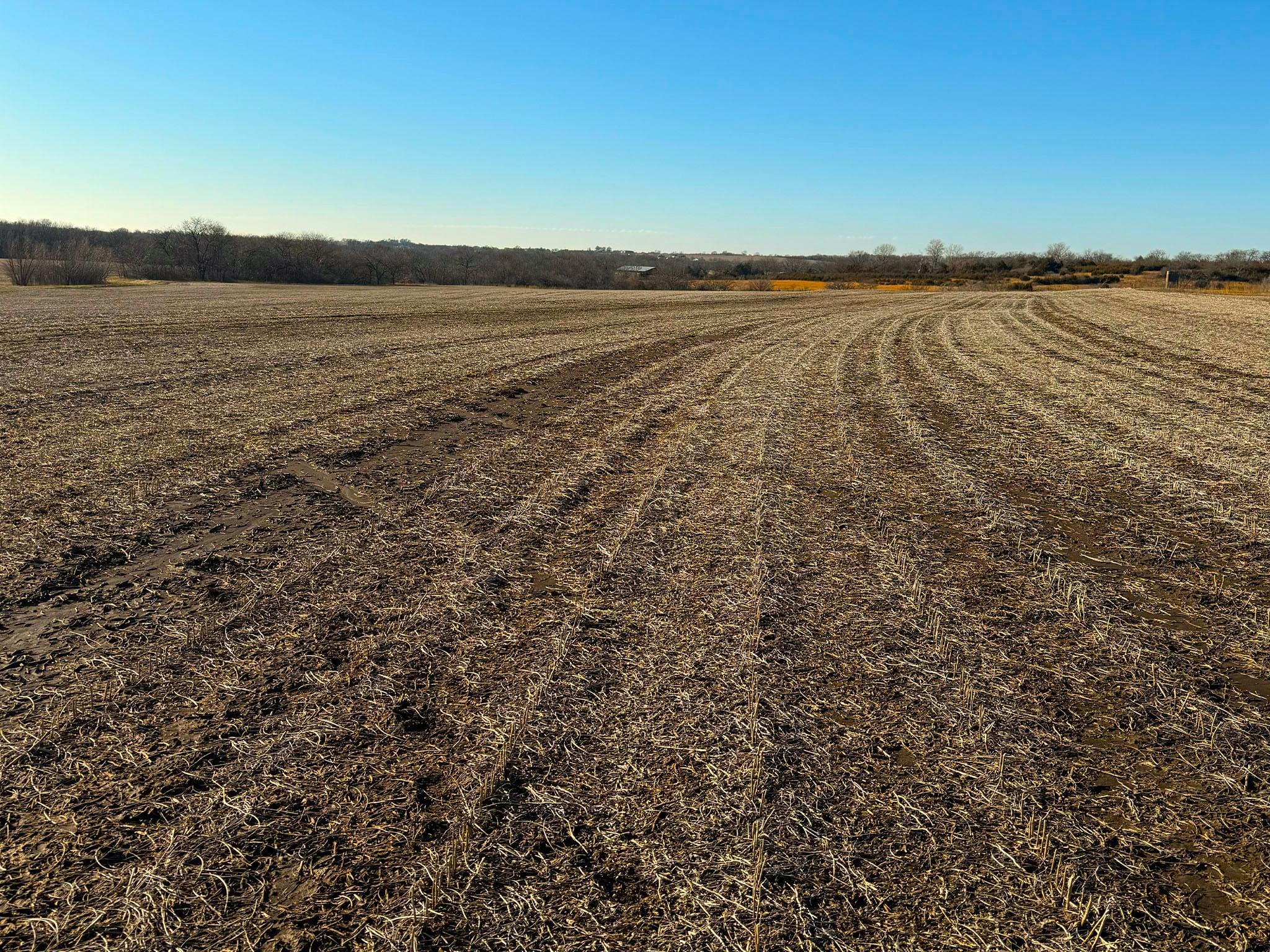 Prairie Crest Vista 7498