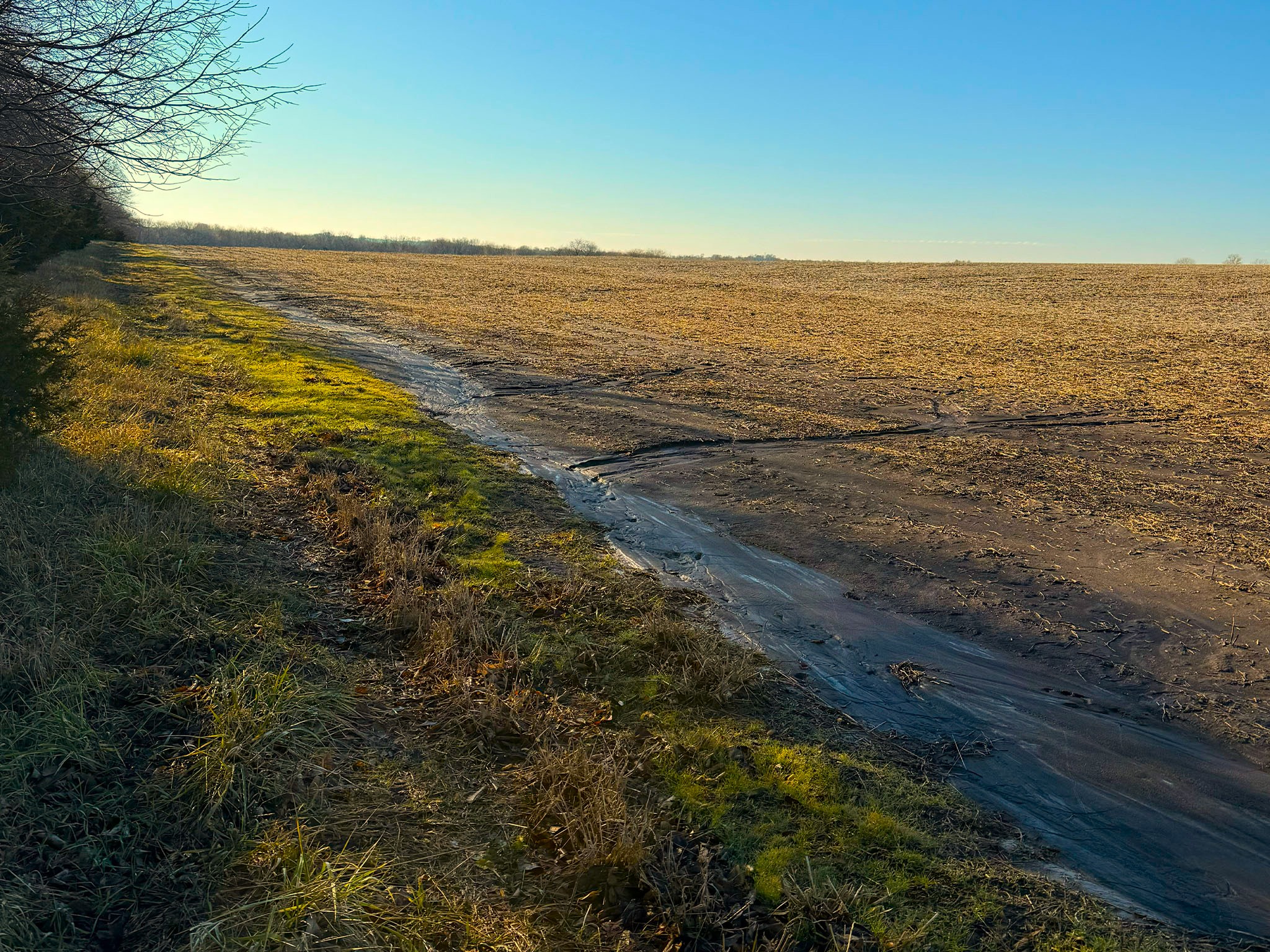 Prairie Crest Vista 9583