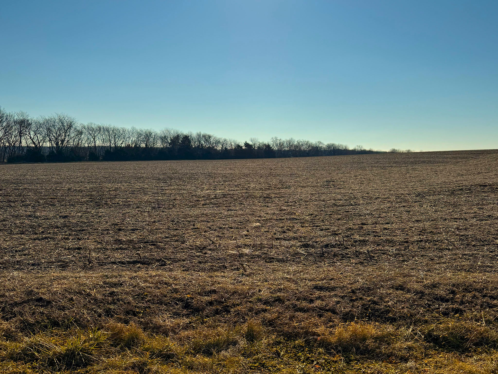 Prairie Crest Vista 9851