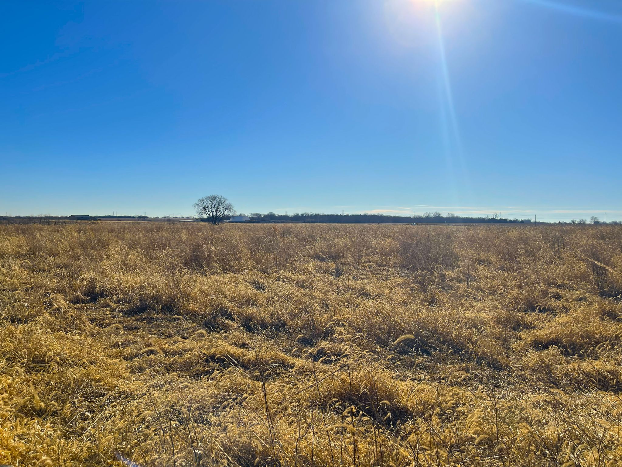 Tract 10 20260112_172045460_iOS