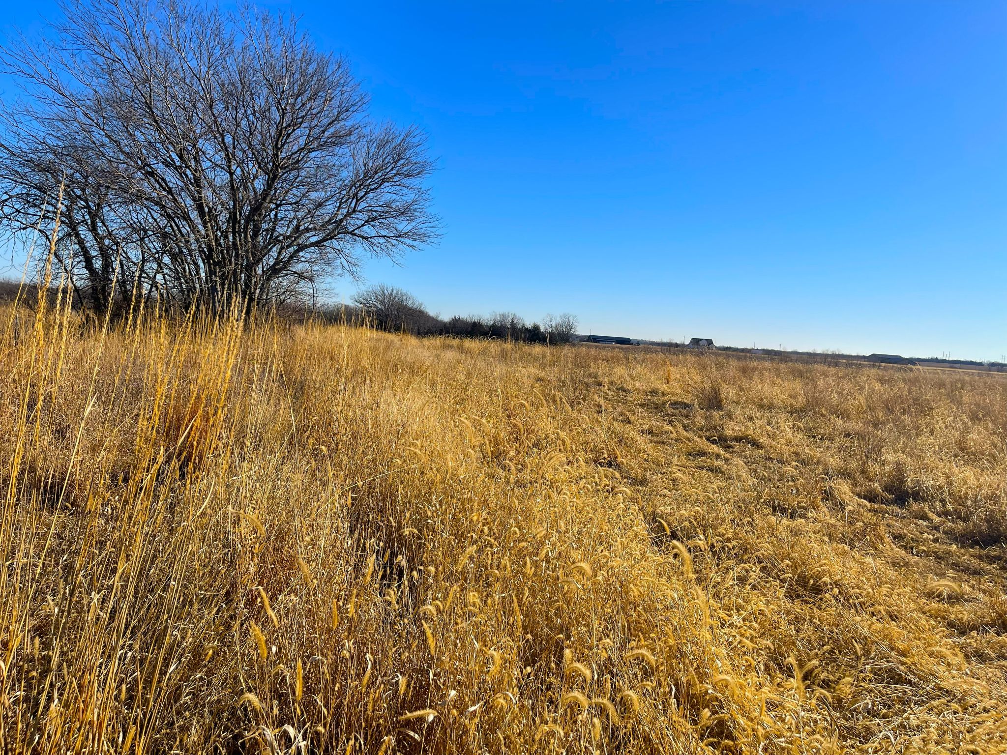 Tract 10 20260112_172050466_iOS