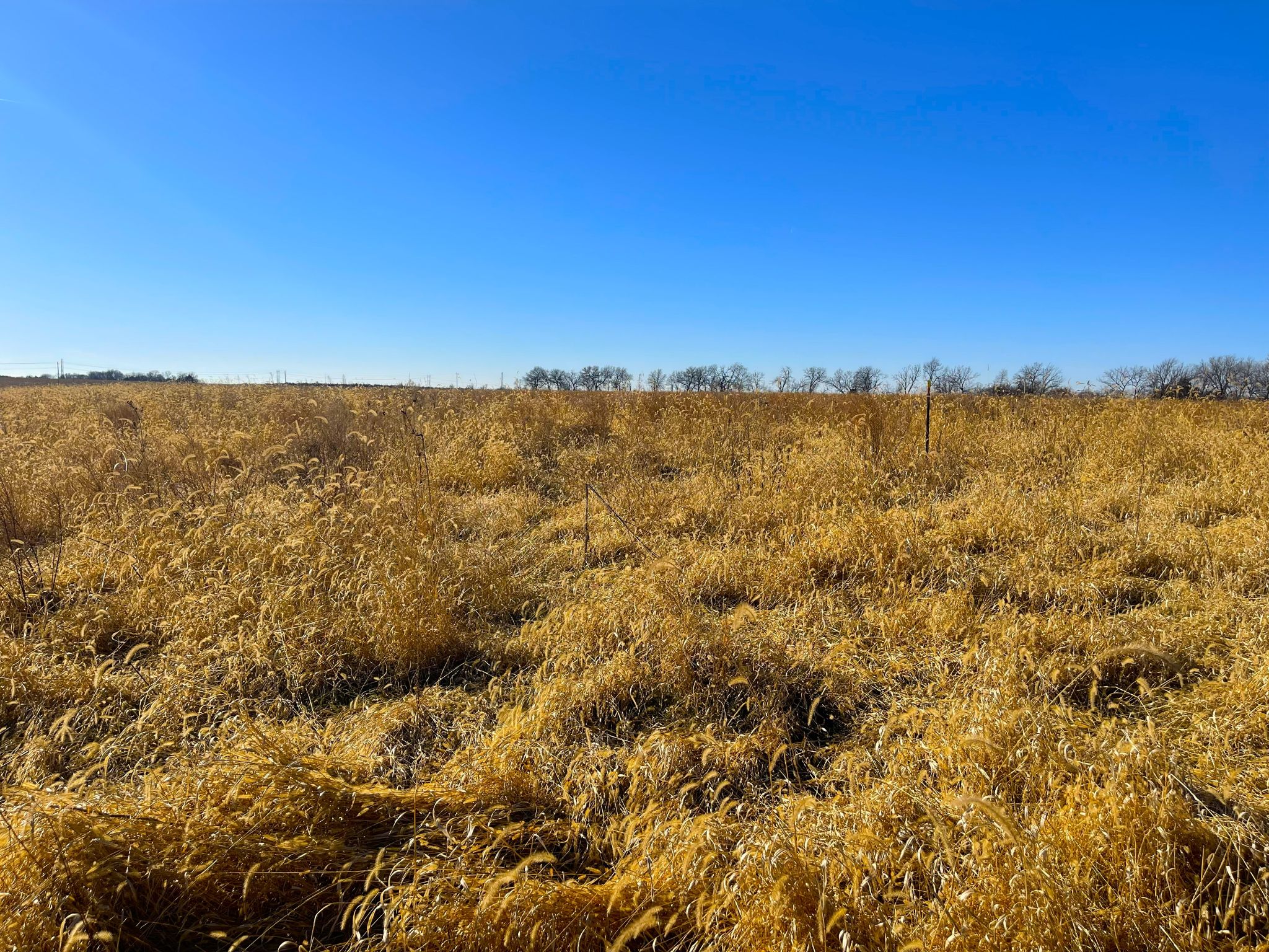 Tract 10 20260112_172249373_iOS