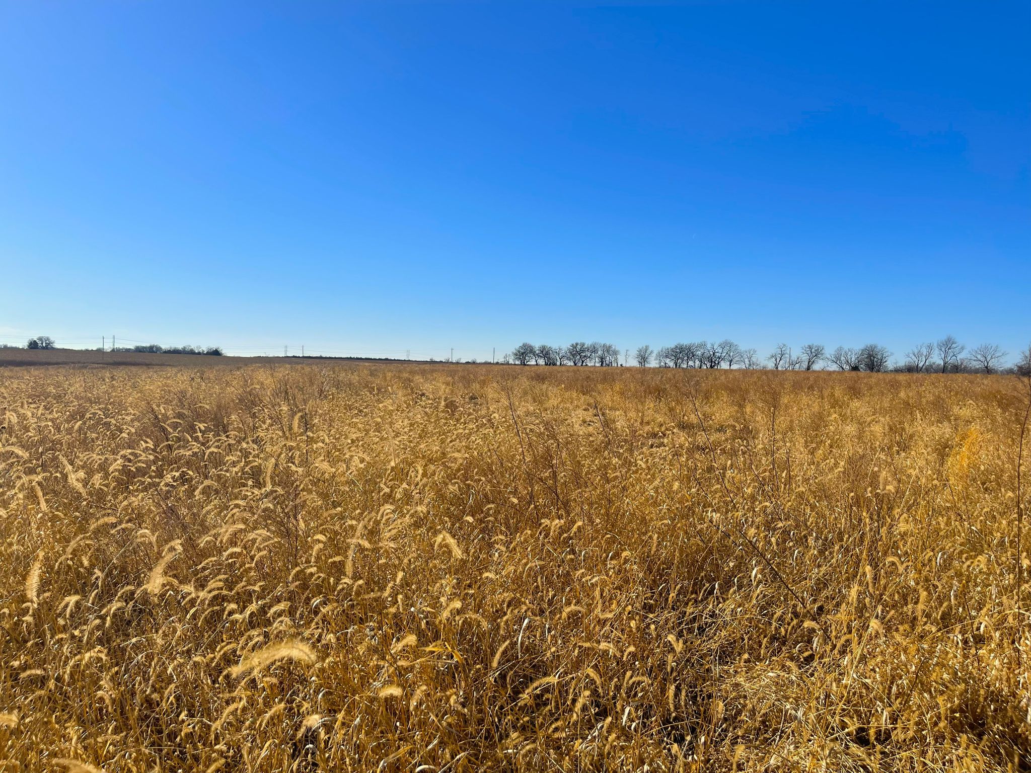 Tract 10 20260112_172326000_iOS