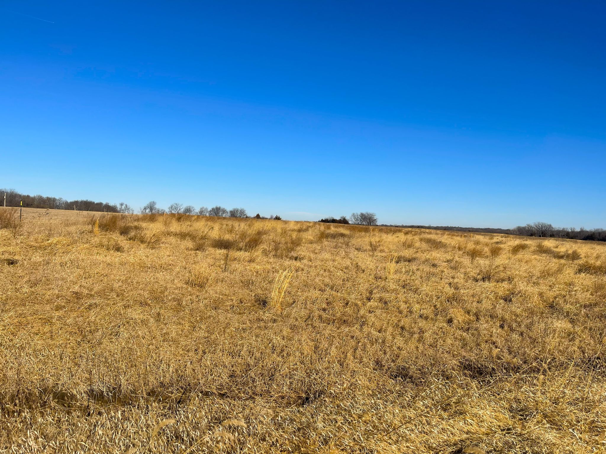 Tract 11 20260112_171346545_iOS