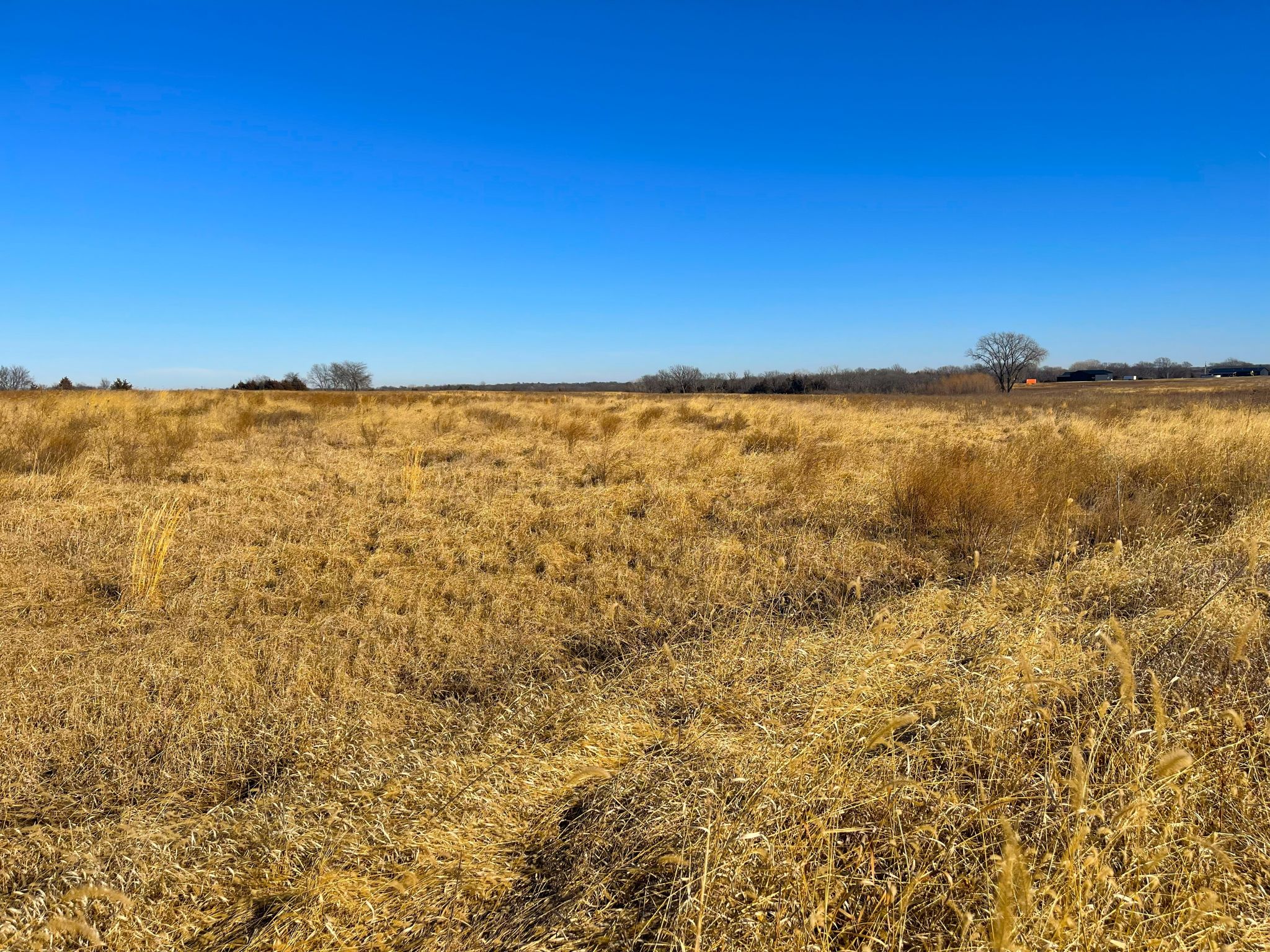 Tract 11 20260112_171359686_iOS