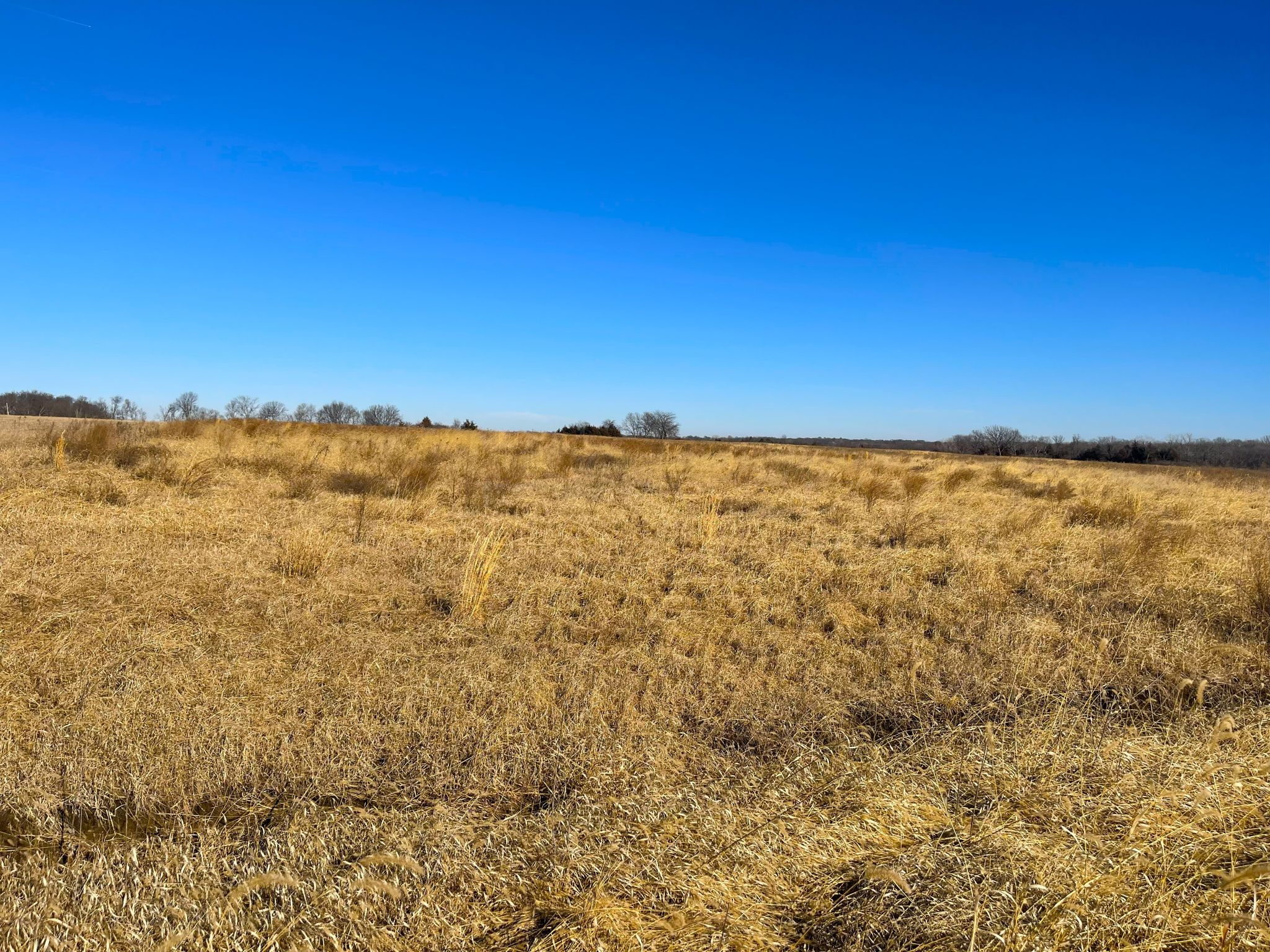 Tract 11 20260112_171401248_iOS