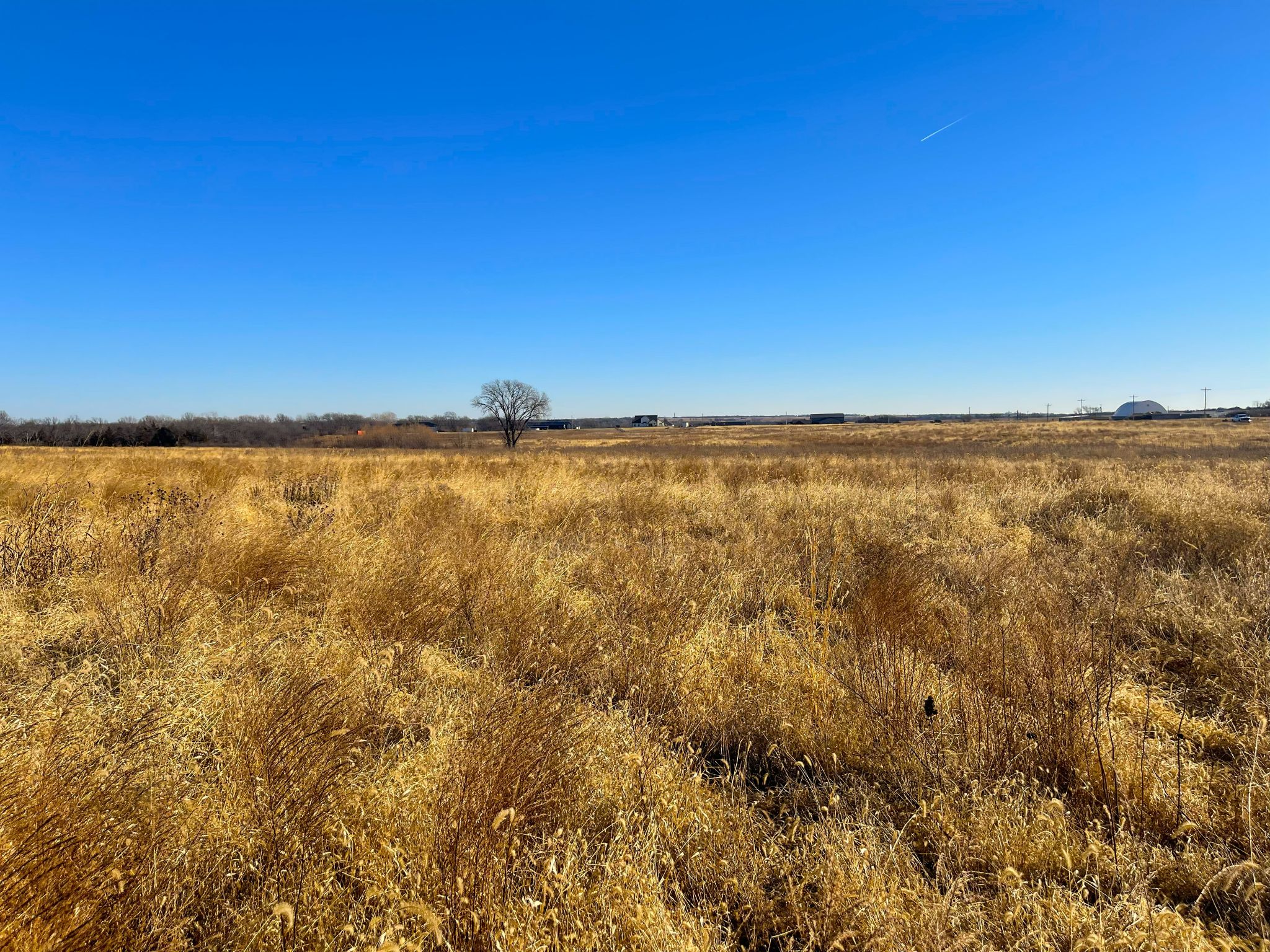 Tract 11 20260112_171514391_iOS