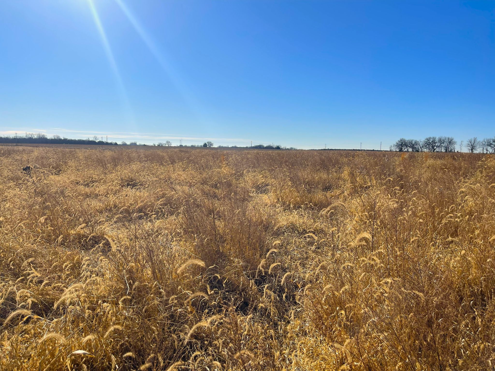 Tract 11 20260112_171953182_iOS