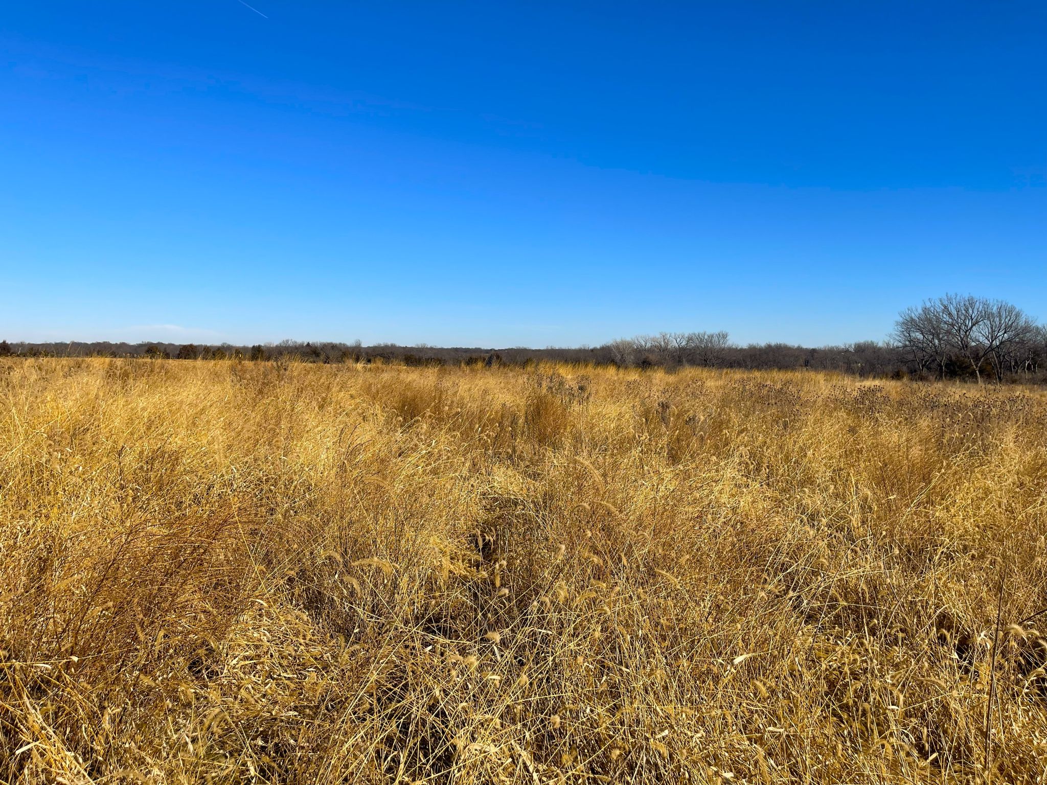 Tract 9 20260112_172351619_iOS