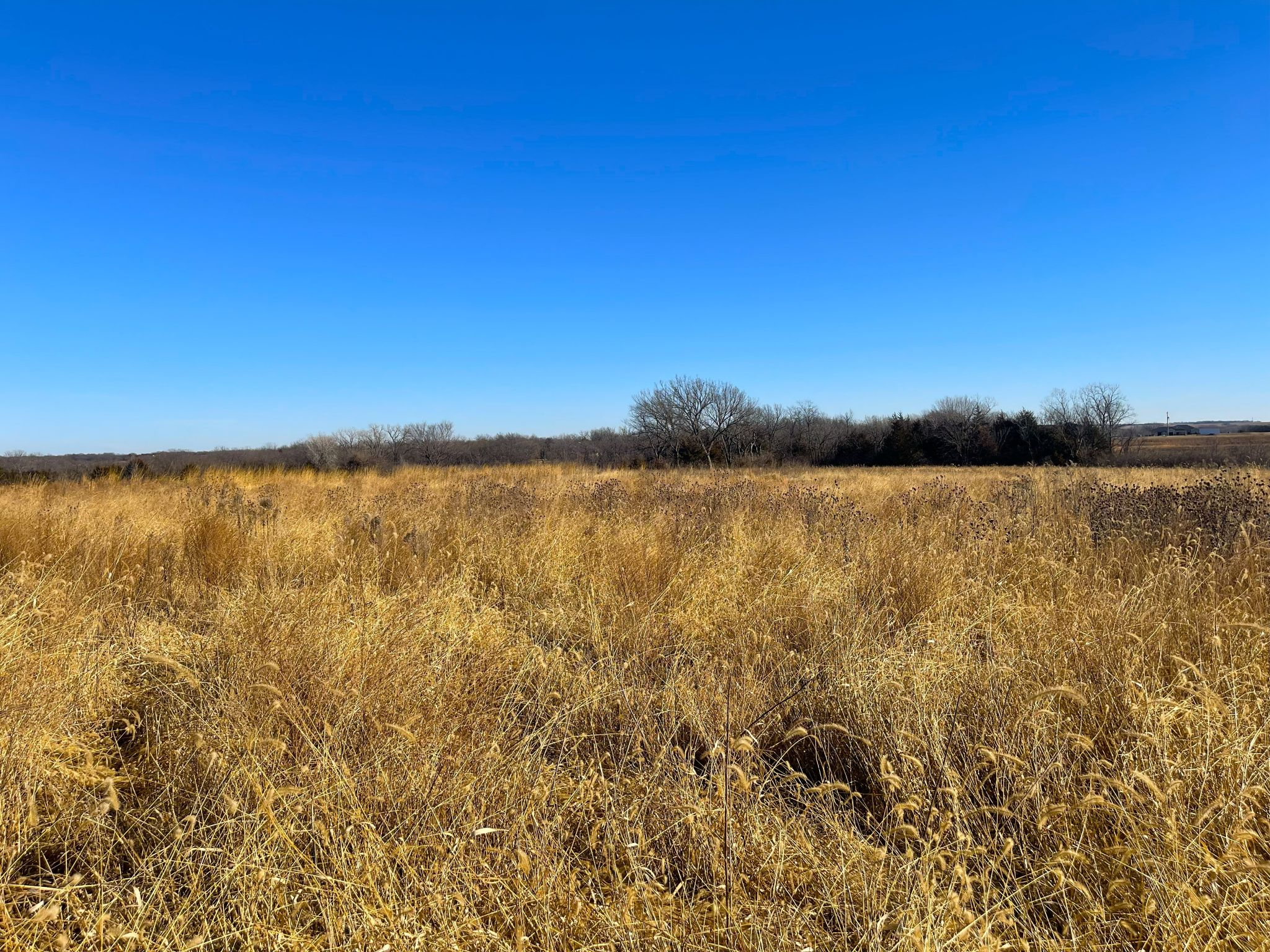 Tract 9 20260112_172355192_iOS