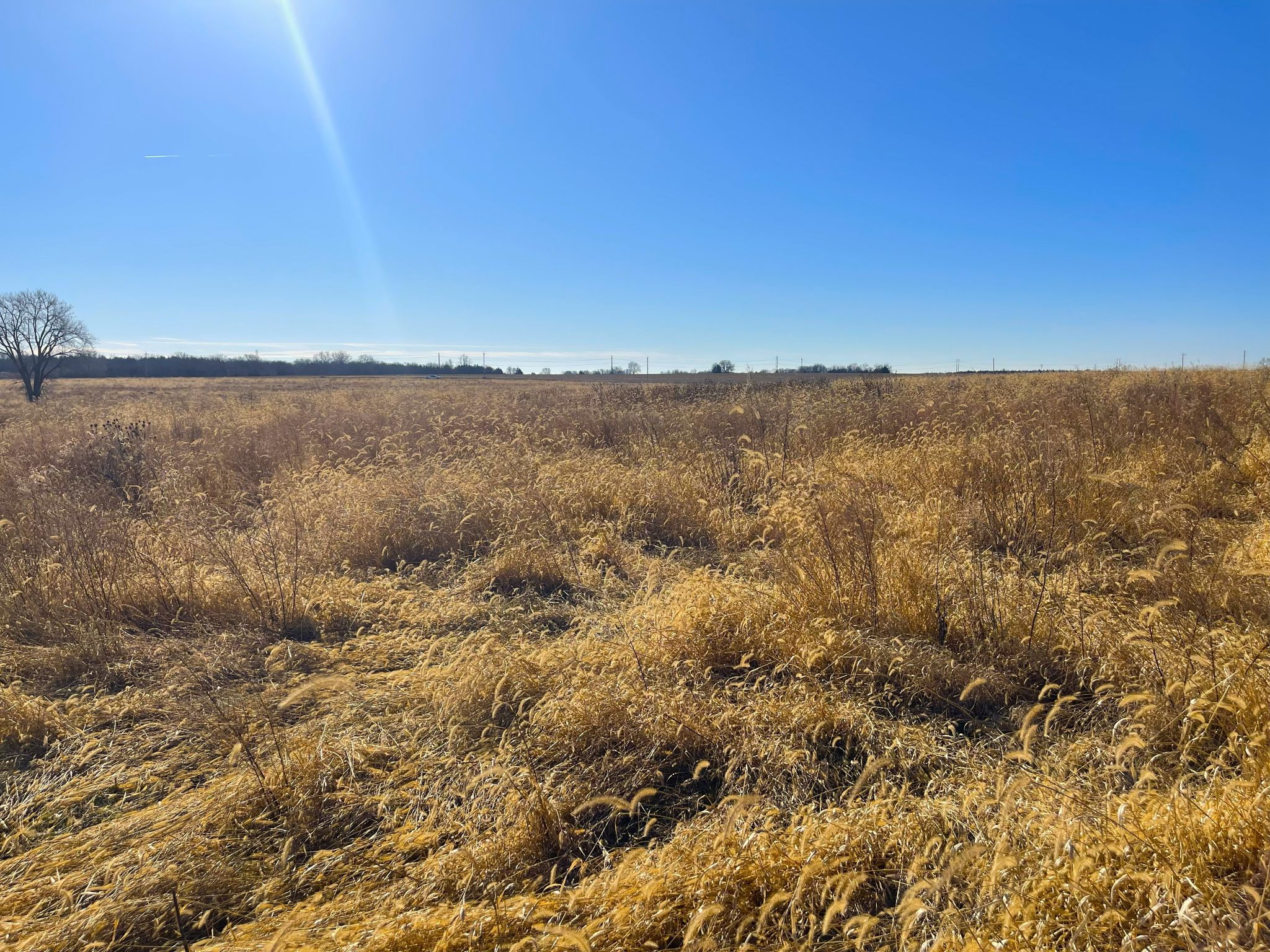 Tract 9 20260112_172439968_iOS