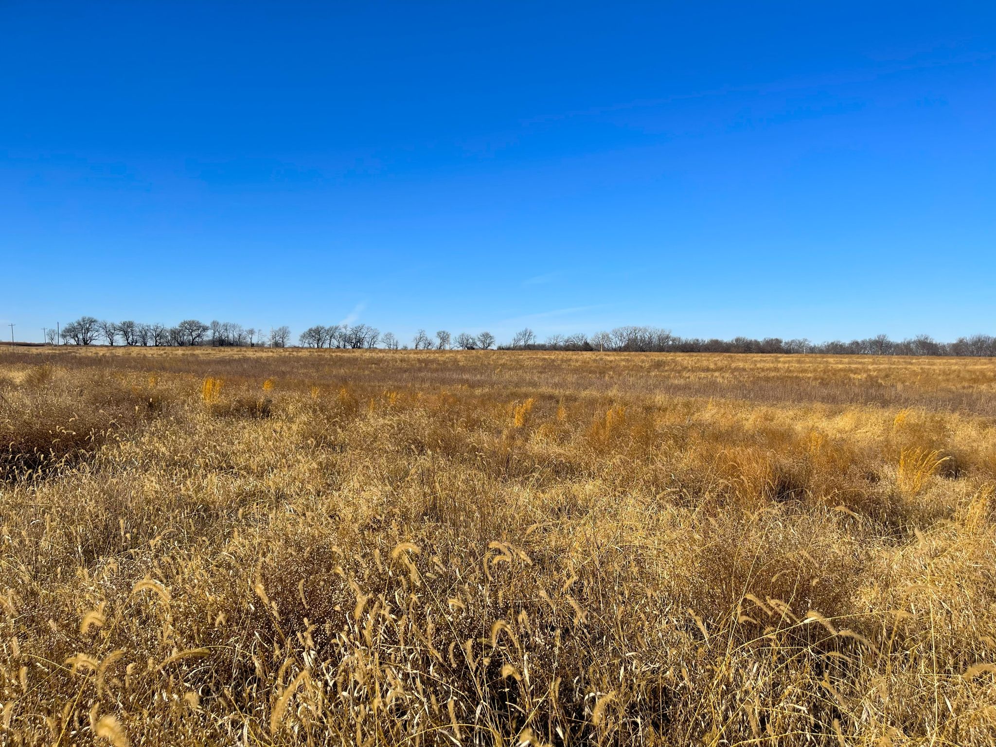 Tract 9 20260112_173009623_iOS