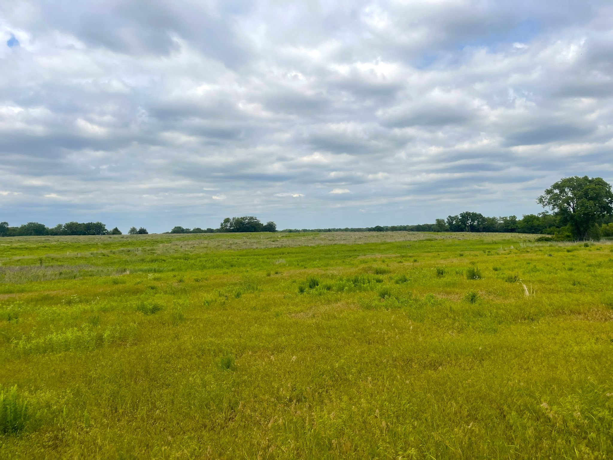 Tract 9 Ground pic 0626
