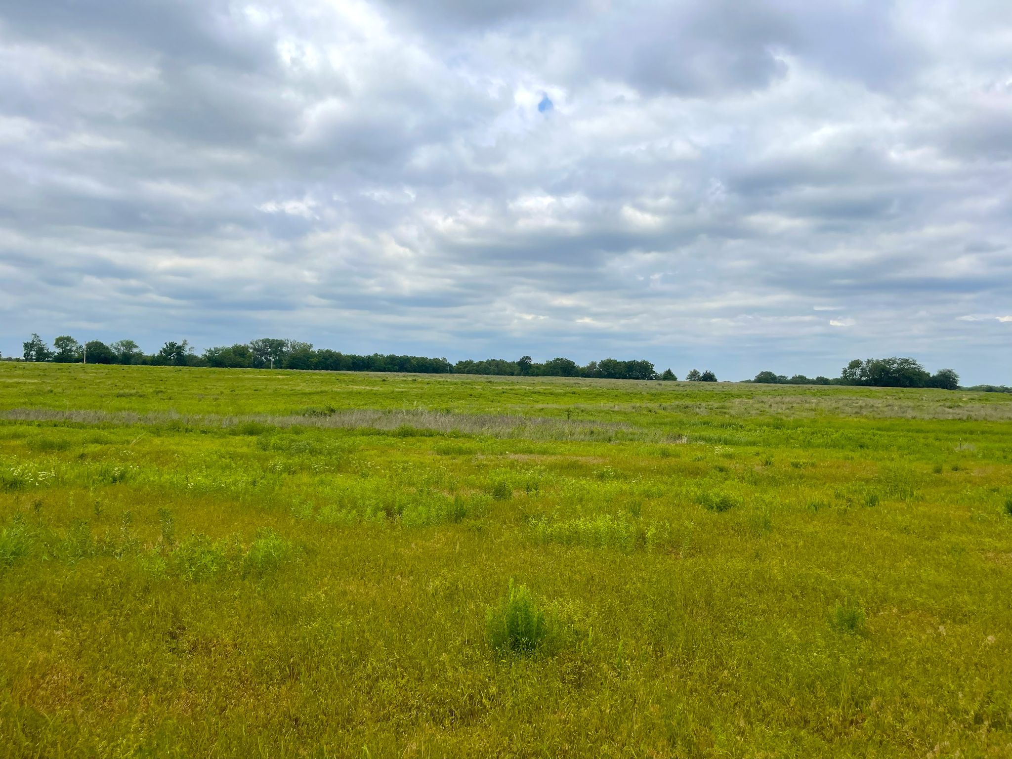 Tract 9 Ground pic 2 0626