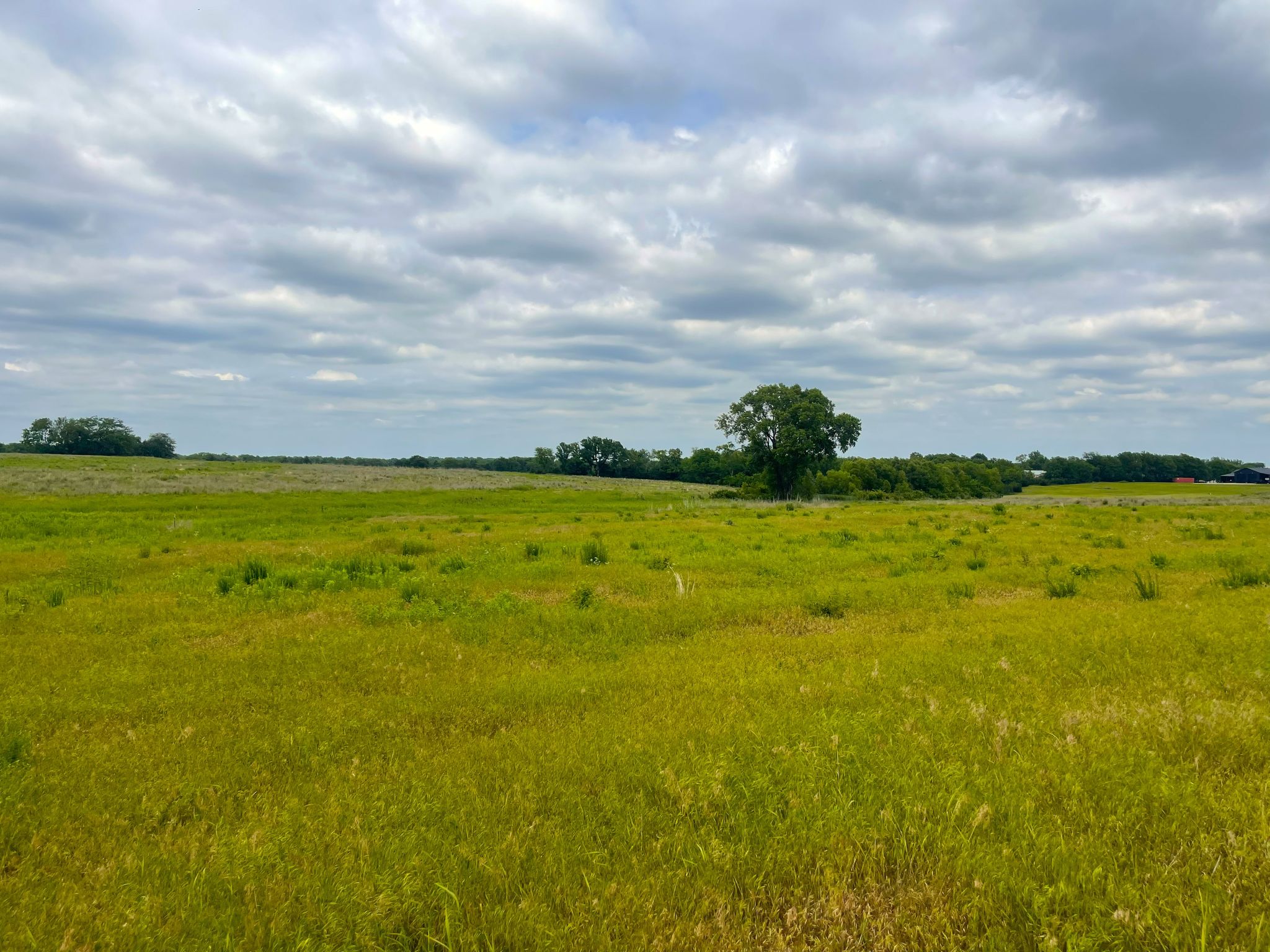 Tract 9 Ground pic 3 0626