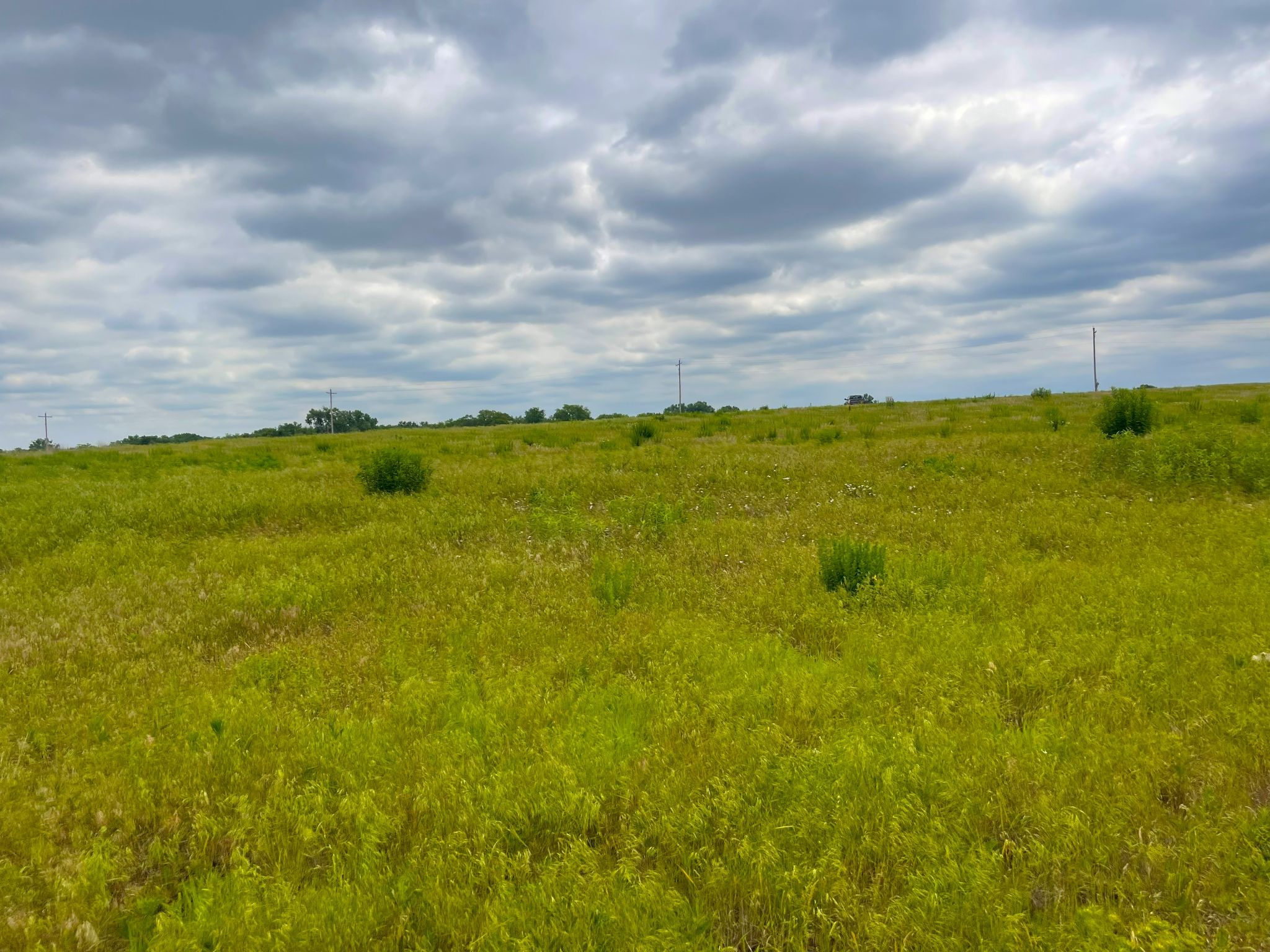 Tract 9 Ground pic 4 0626