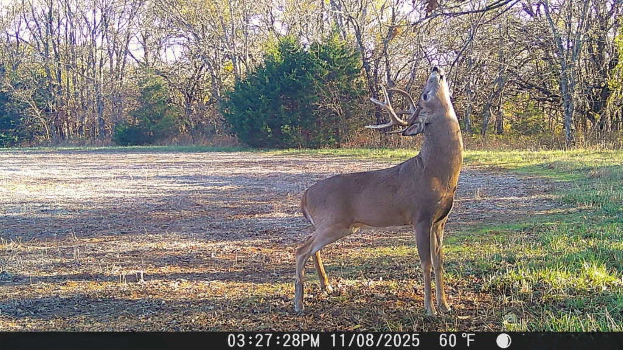 Prairie Crest Wildlife Pic 9