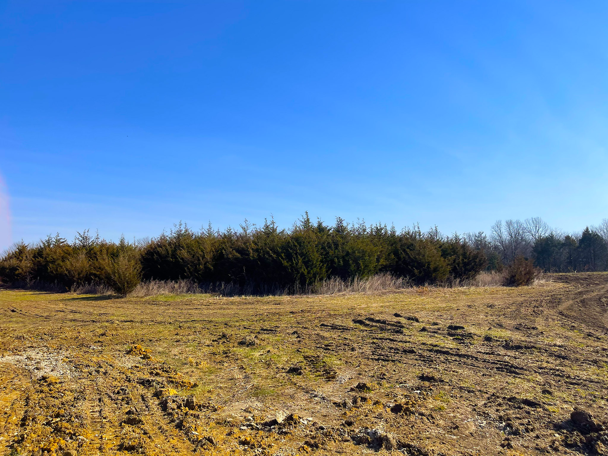 Quail Ridge 20260320_154103170_iOS