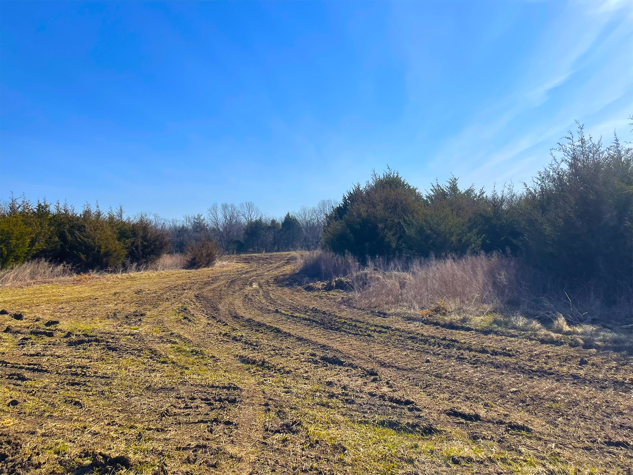 Quail Ridge 20260320_154104880_iOS