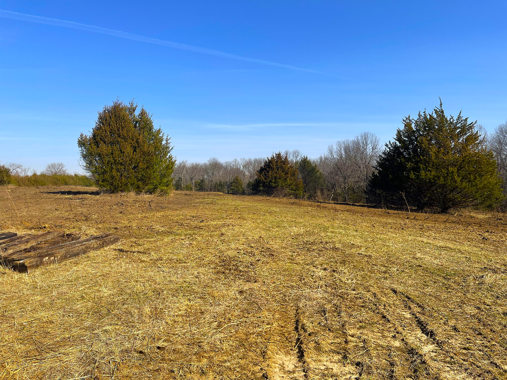 Quail Ridge 20260320_154223669_iOS