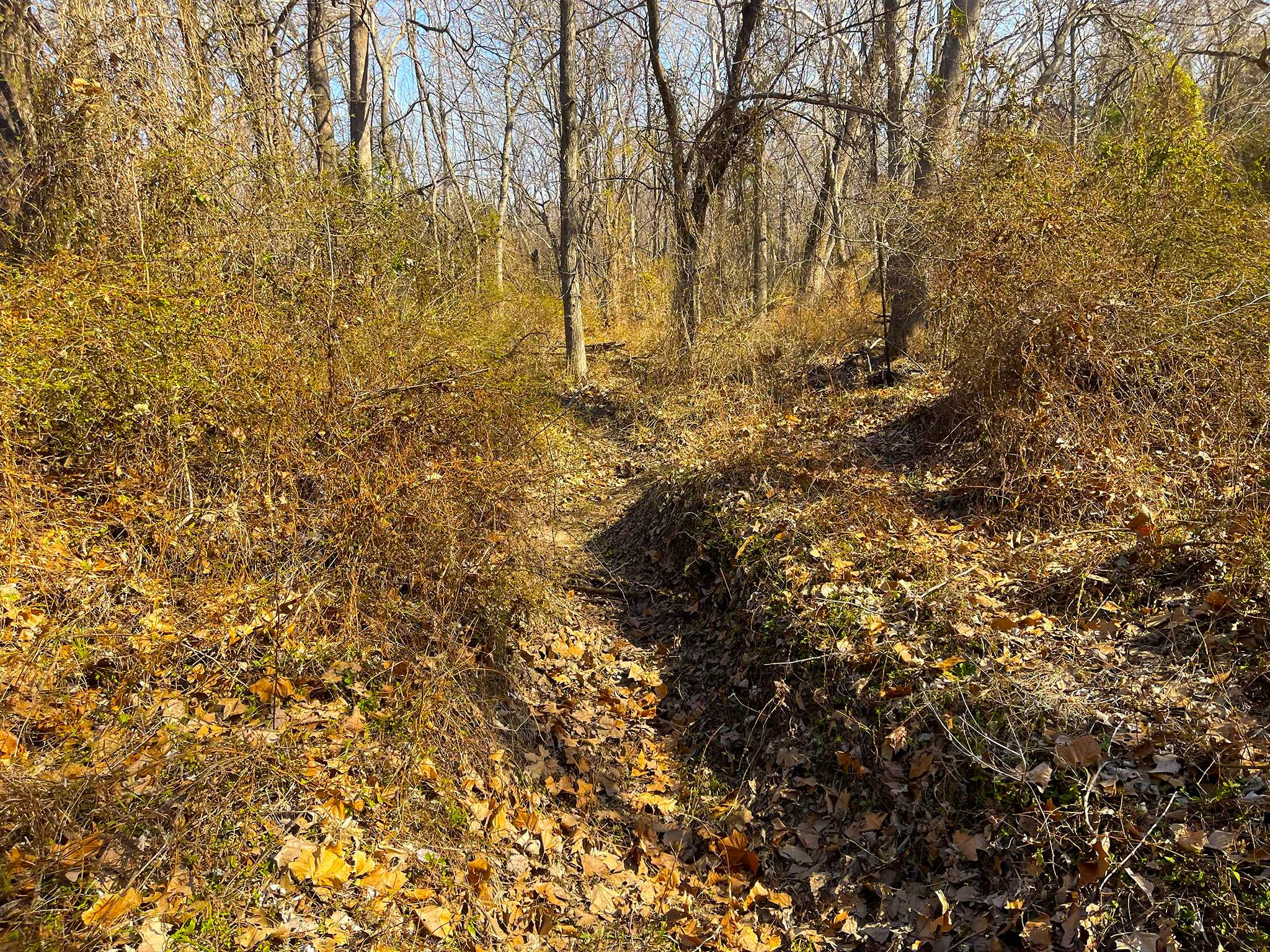 Quail Ridge 20260320_154655110_iOS