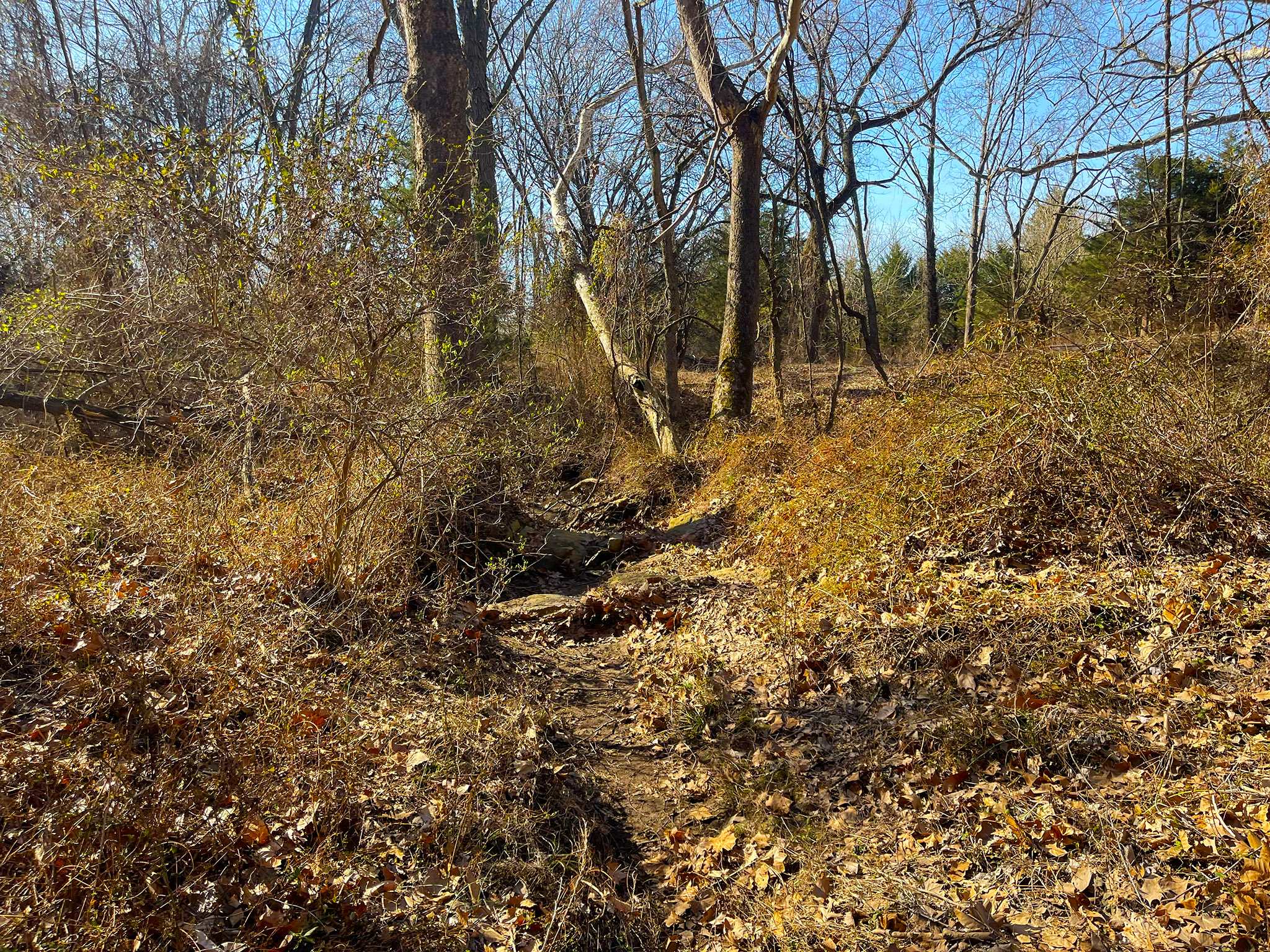 Quail Ridge 20260320_154915317_iOS