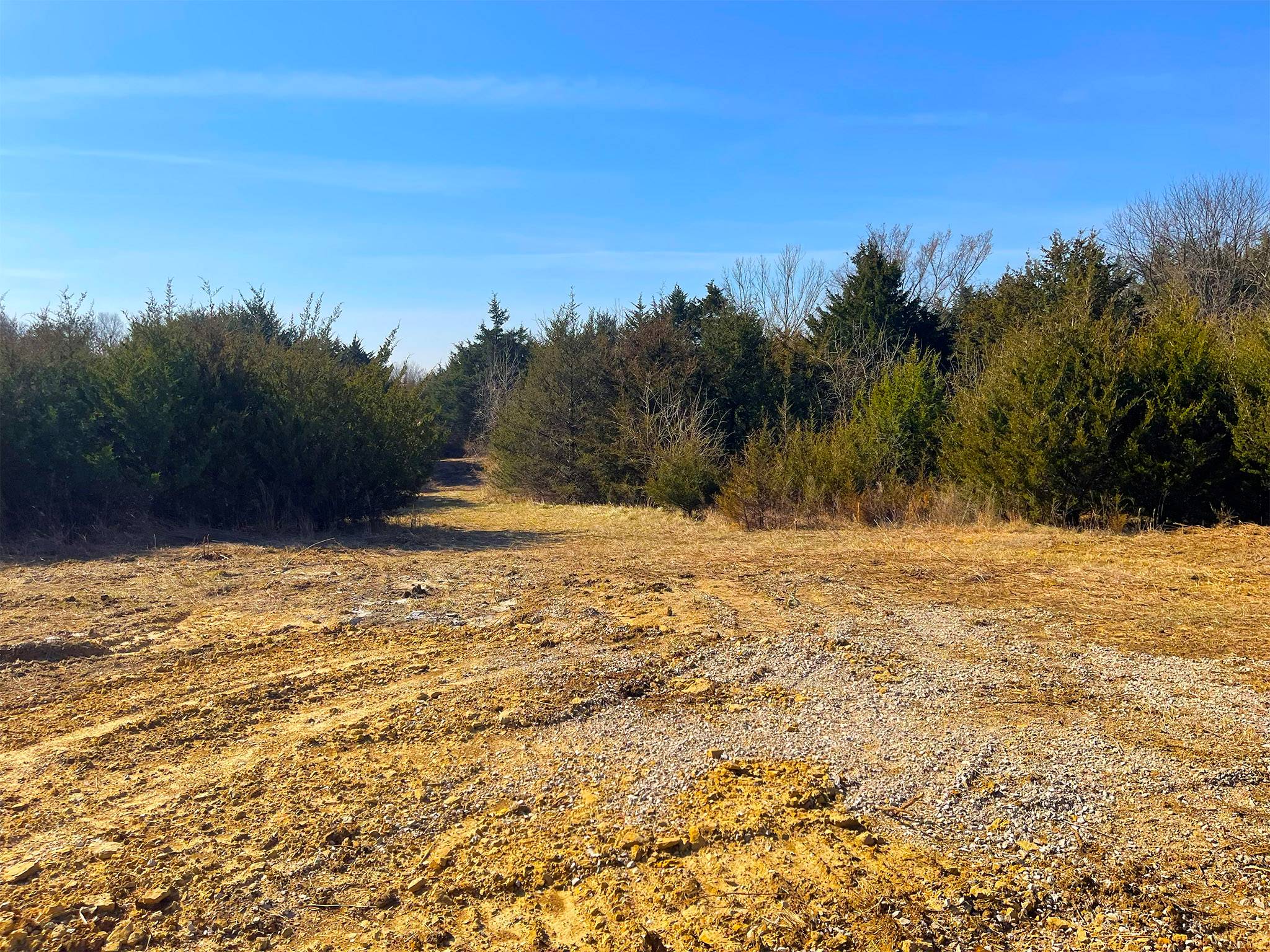 Quail Ridge 20260320_155007471_iOS